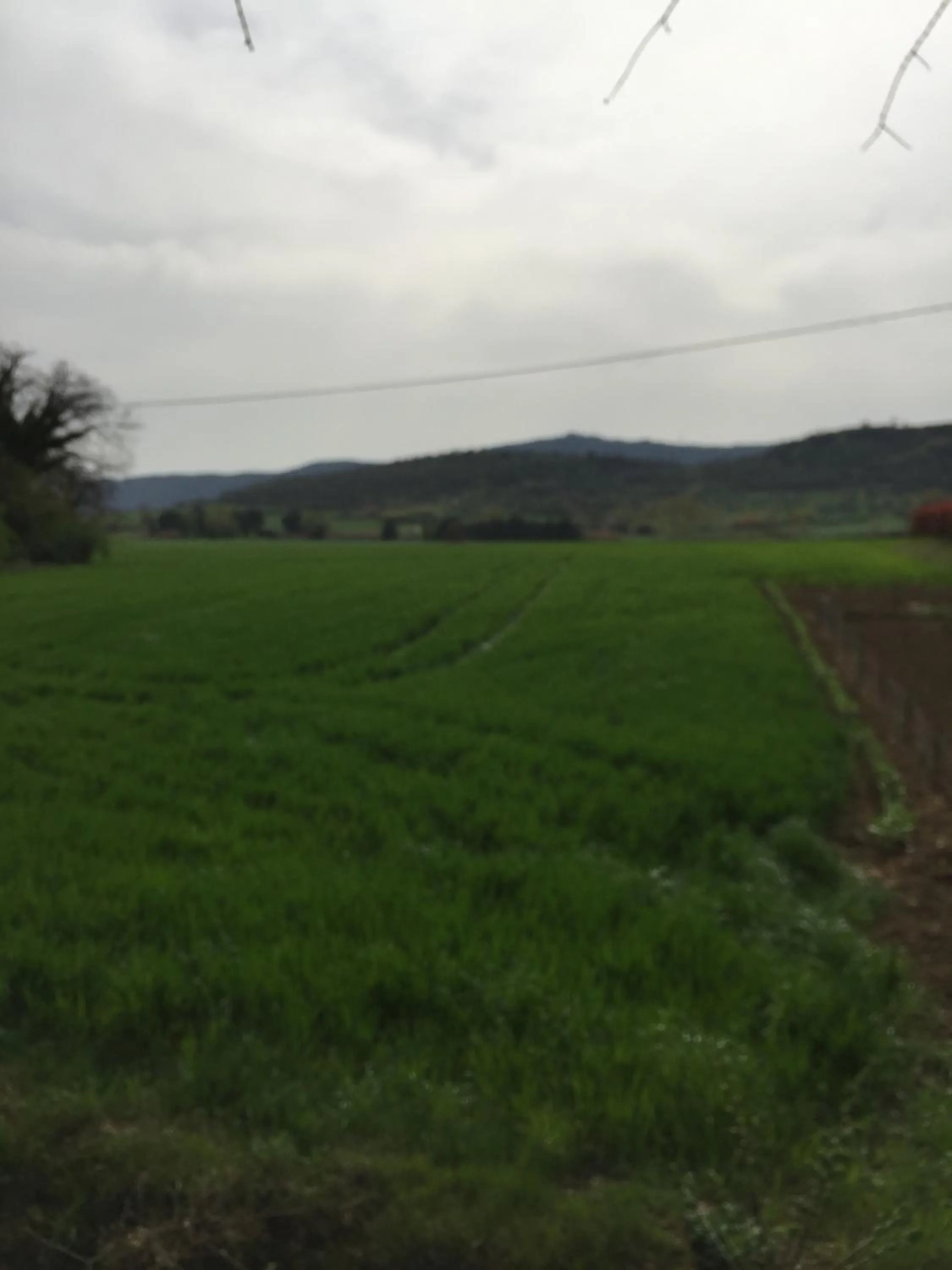 Natural landscape in Azienda Agrituristica I Tre Casali