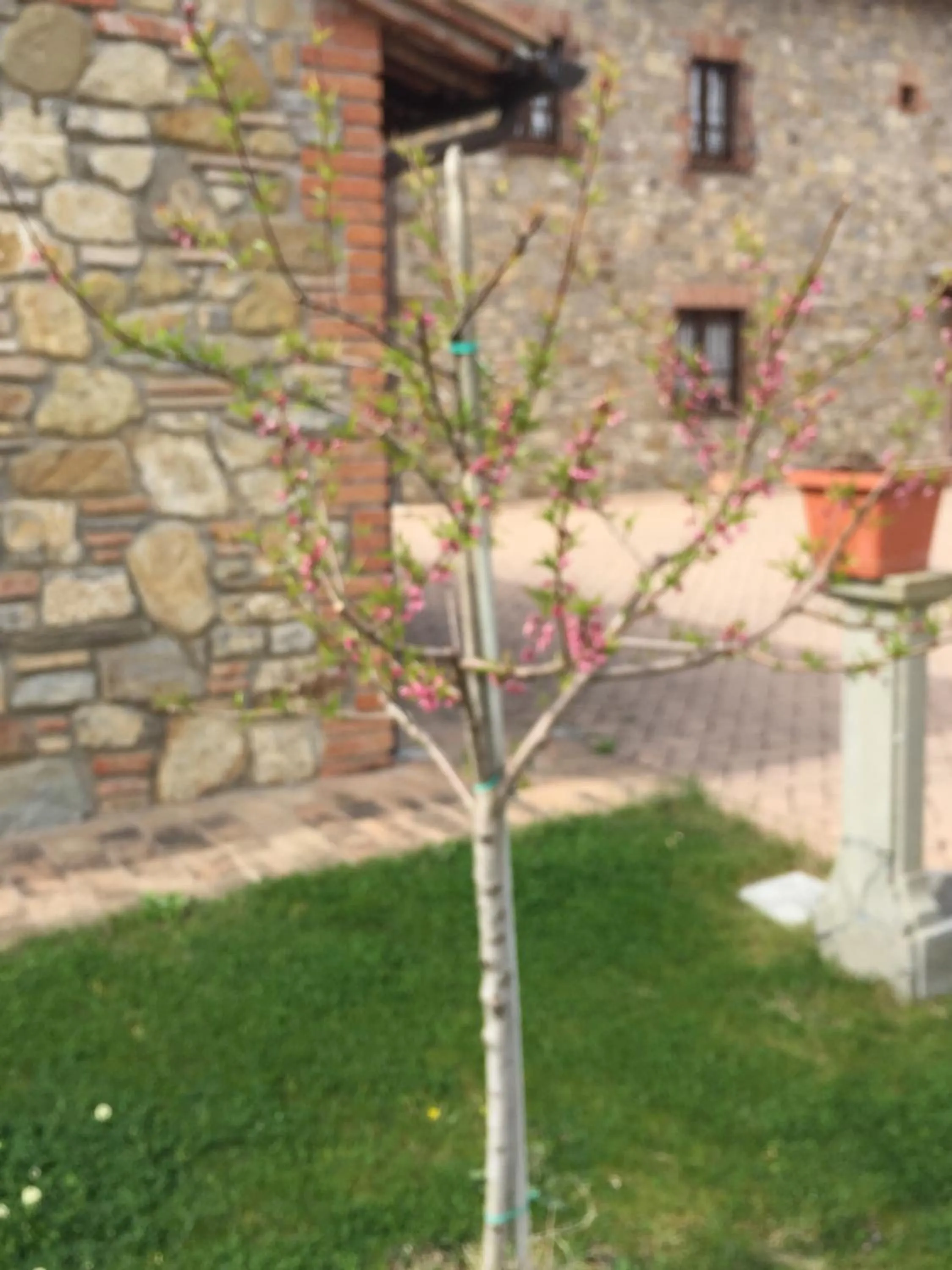 Garden in Azienda Agrituristica I Tre Casali