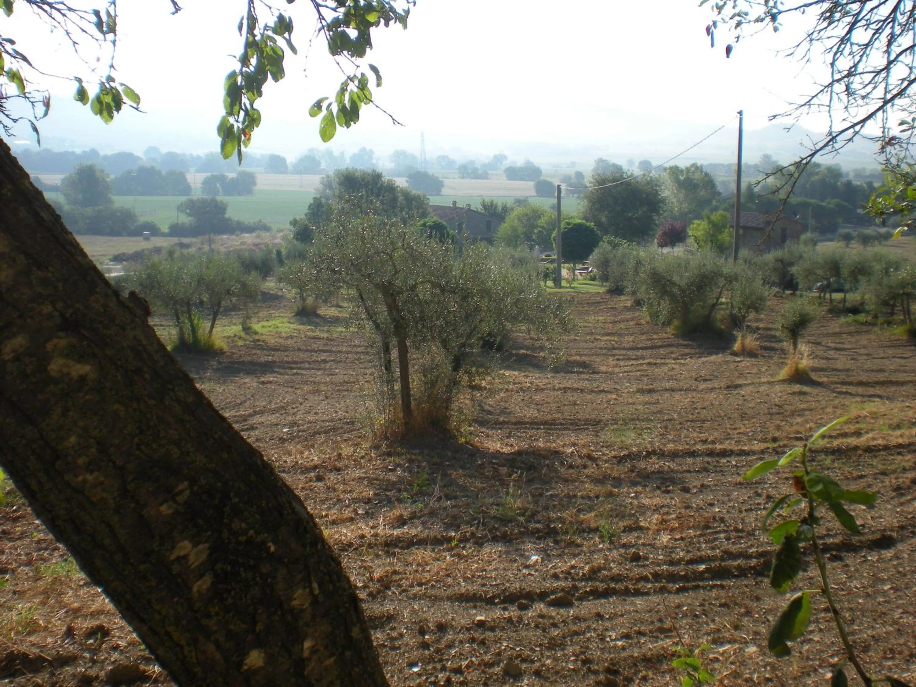 Day in Azienda Agrituristica I Tre Casali