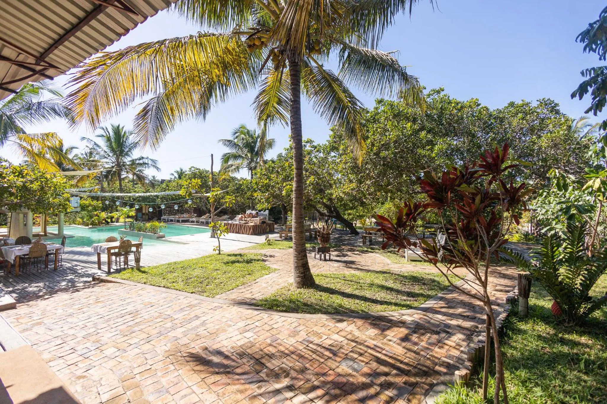 Garden in Mozambeat Motel