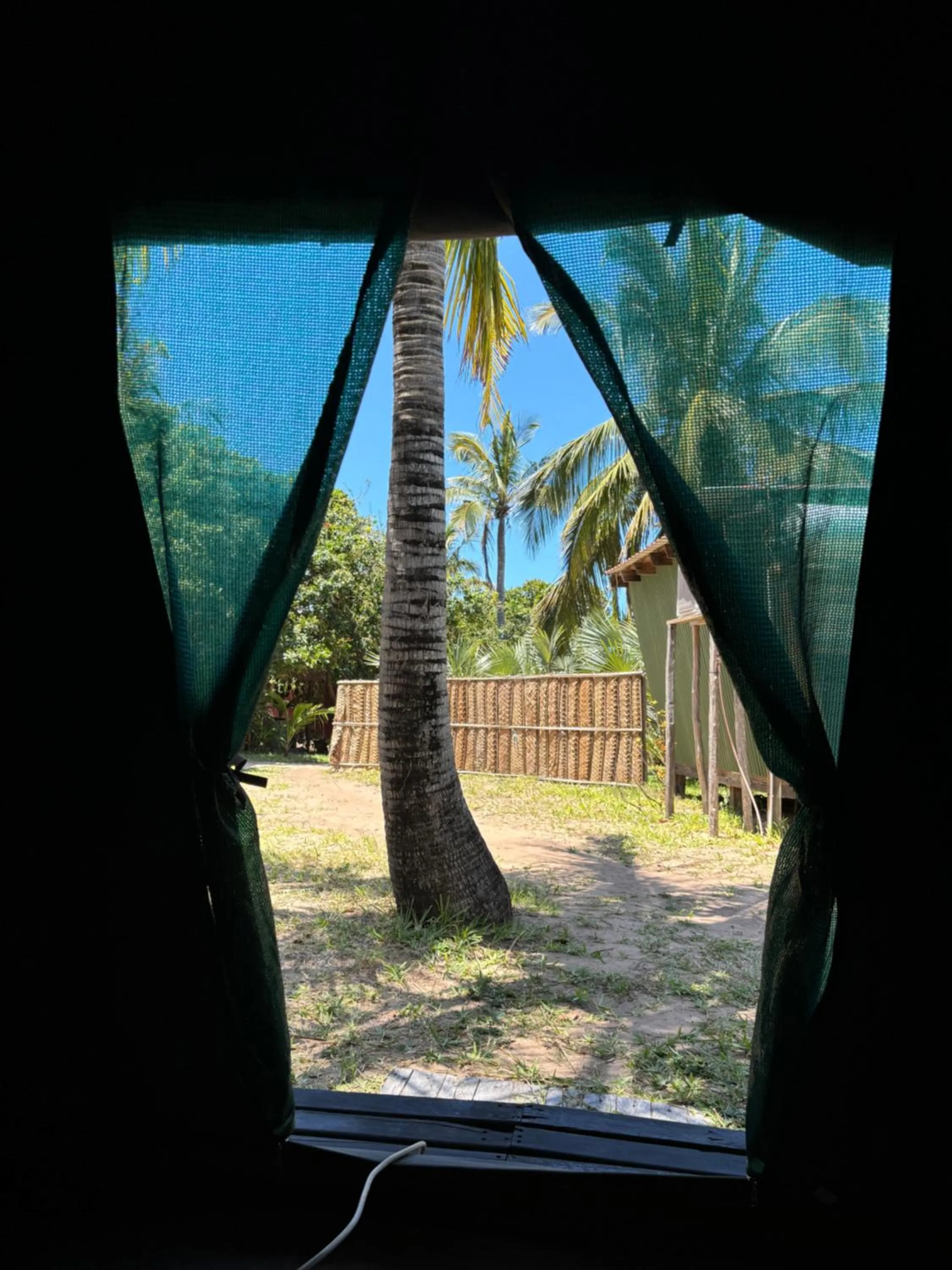 Garden view in Mozambeat Motel