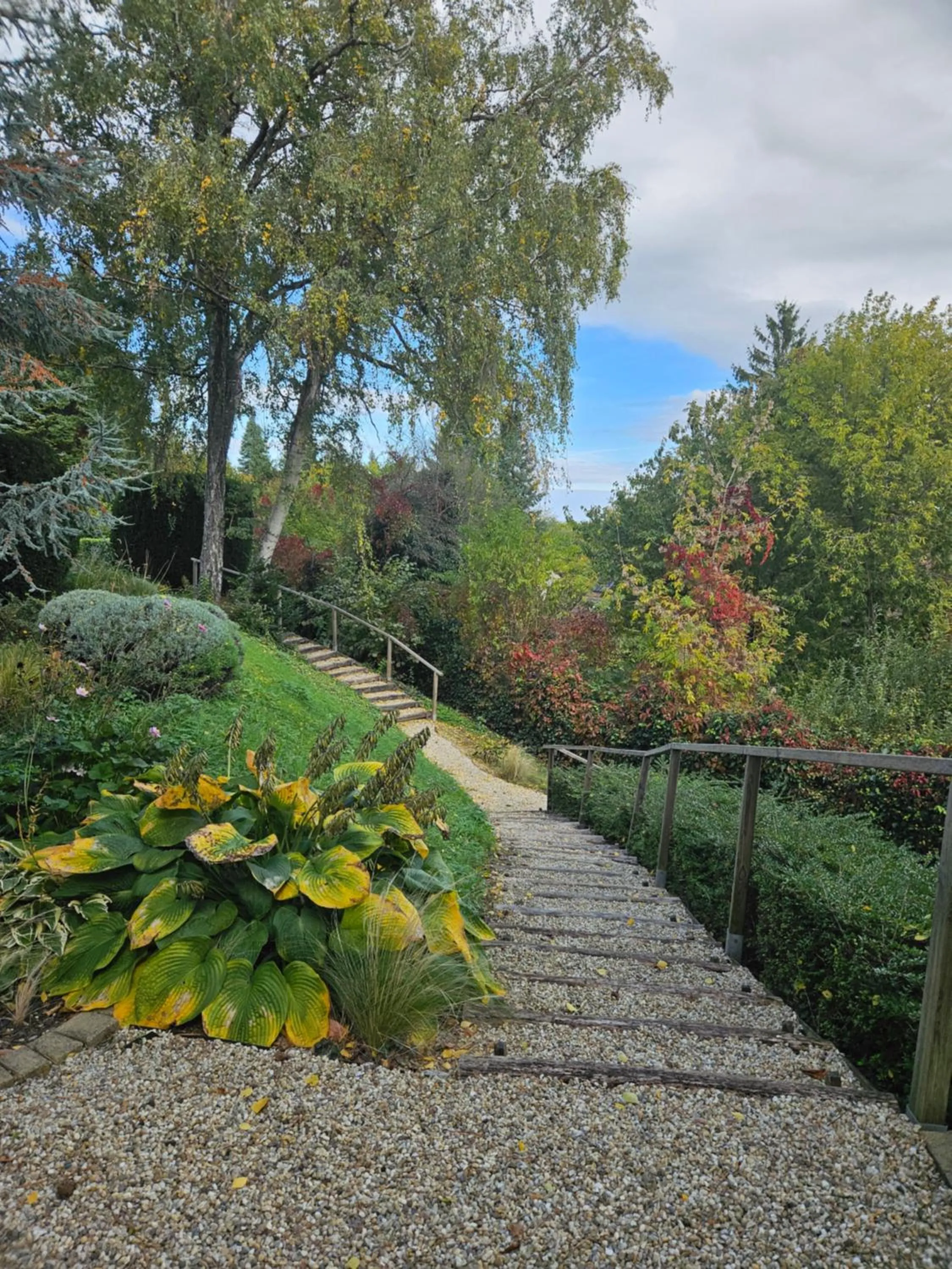 Garden in Villa Mimi