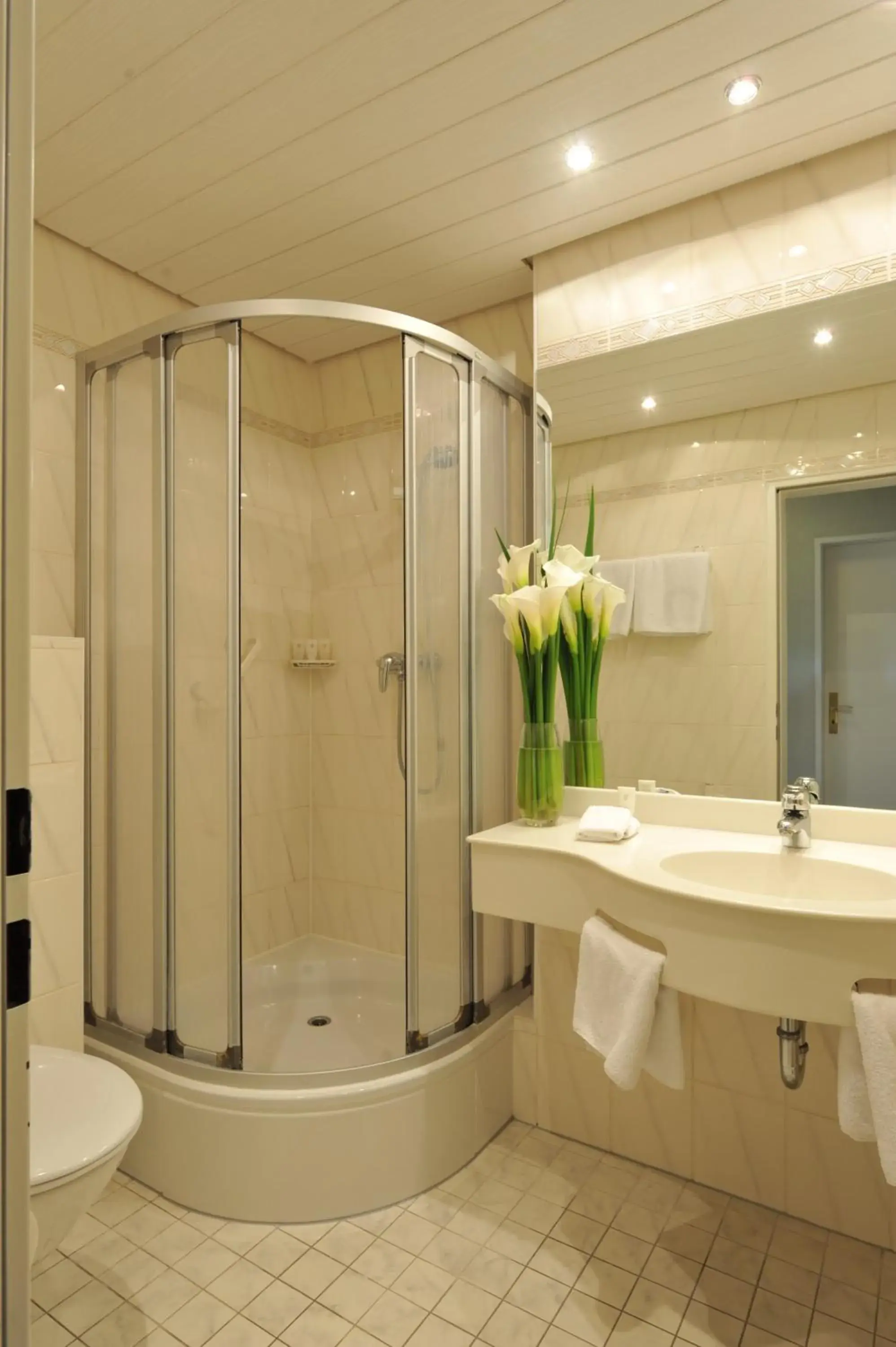 Shower in Hotel Marina