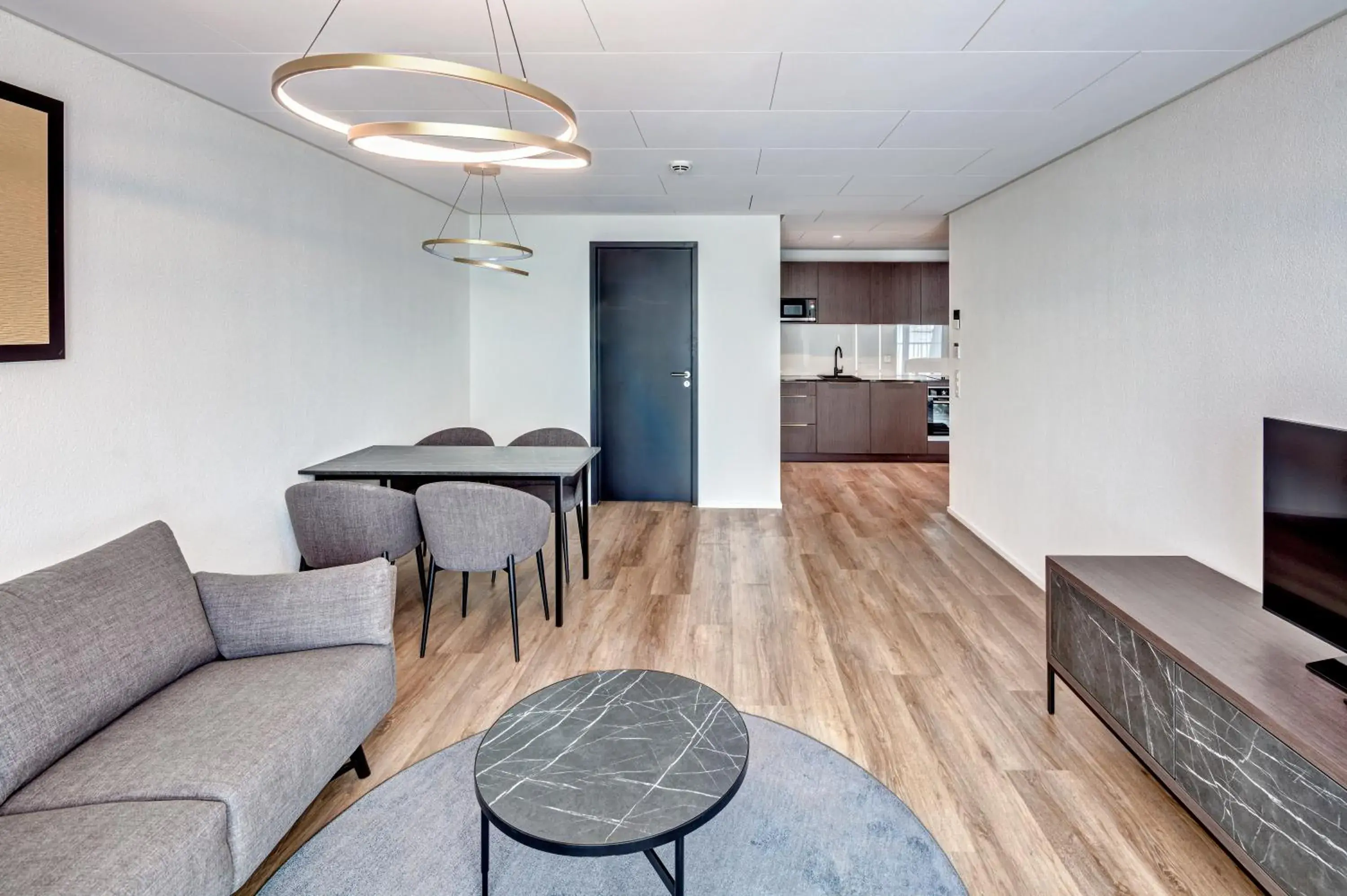 Living room in MOOI Apartments Schlieren Living room in MOOI Apartments Schlieren