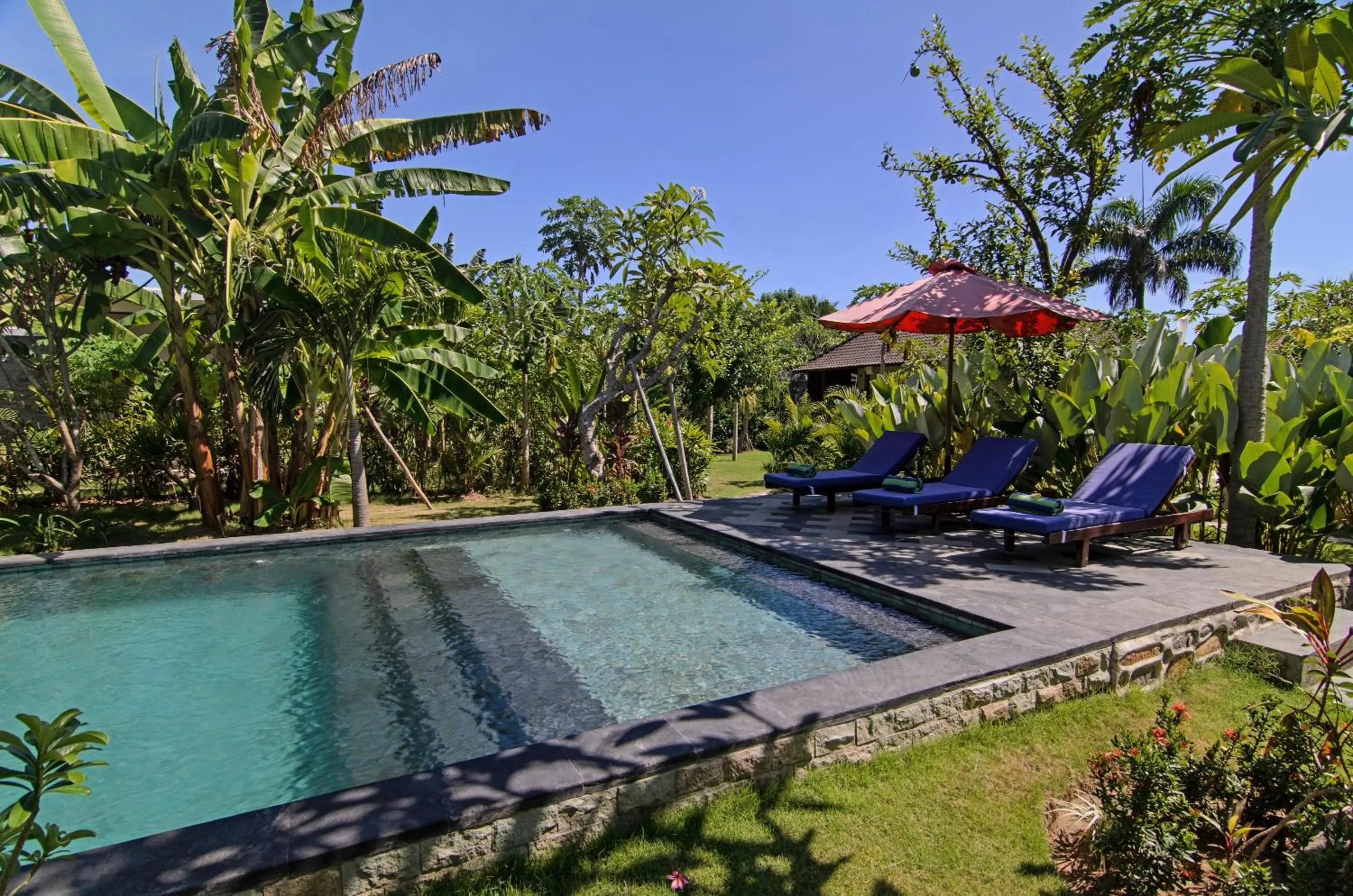 Swimming pool in Villa Adi