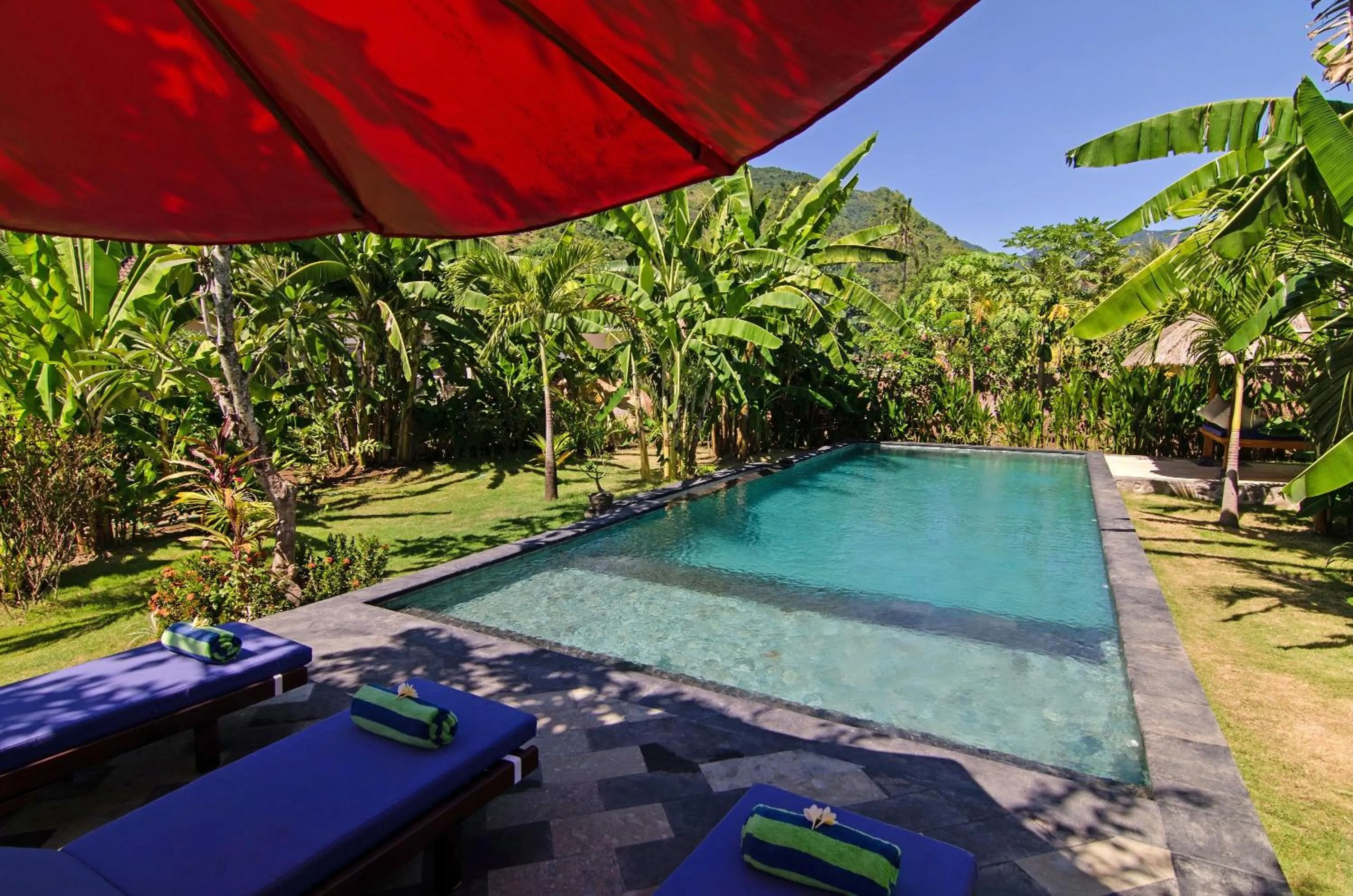 Swimming pool in Villa Adi