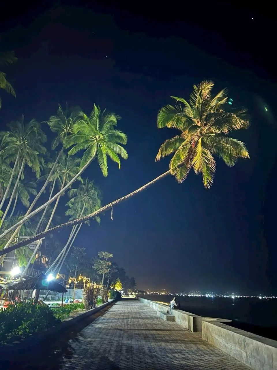 Venus Mũi Né Resort