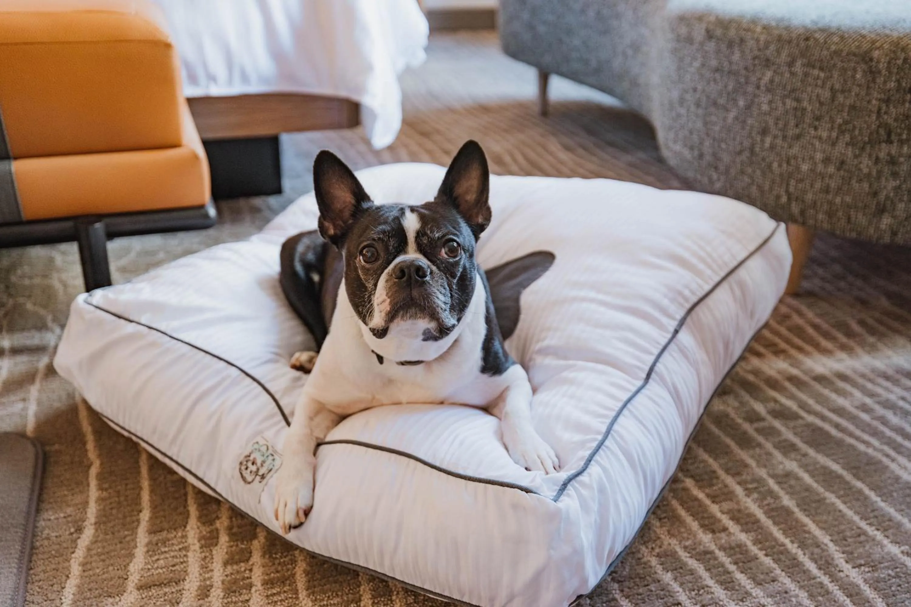 Other in The Westin Book Cadillac Detroit