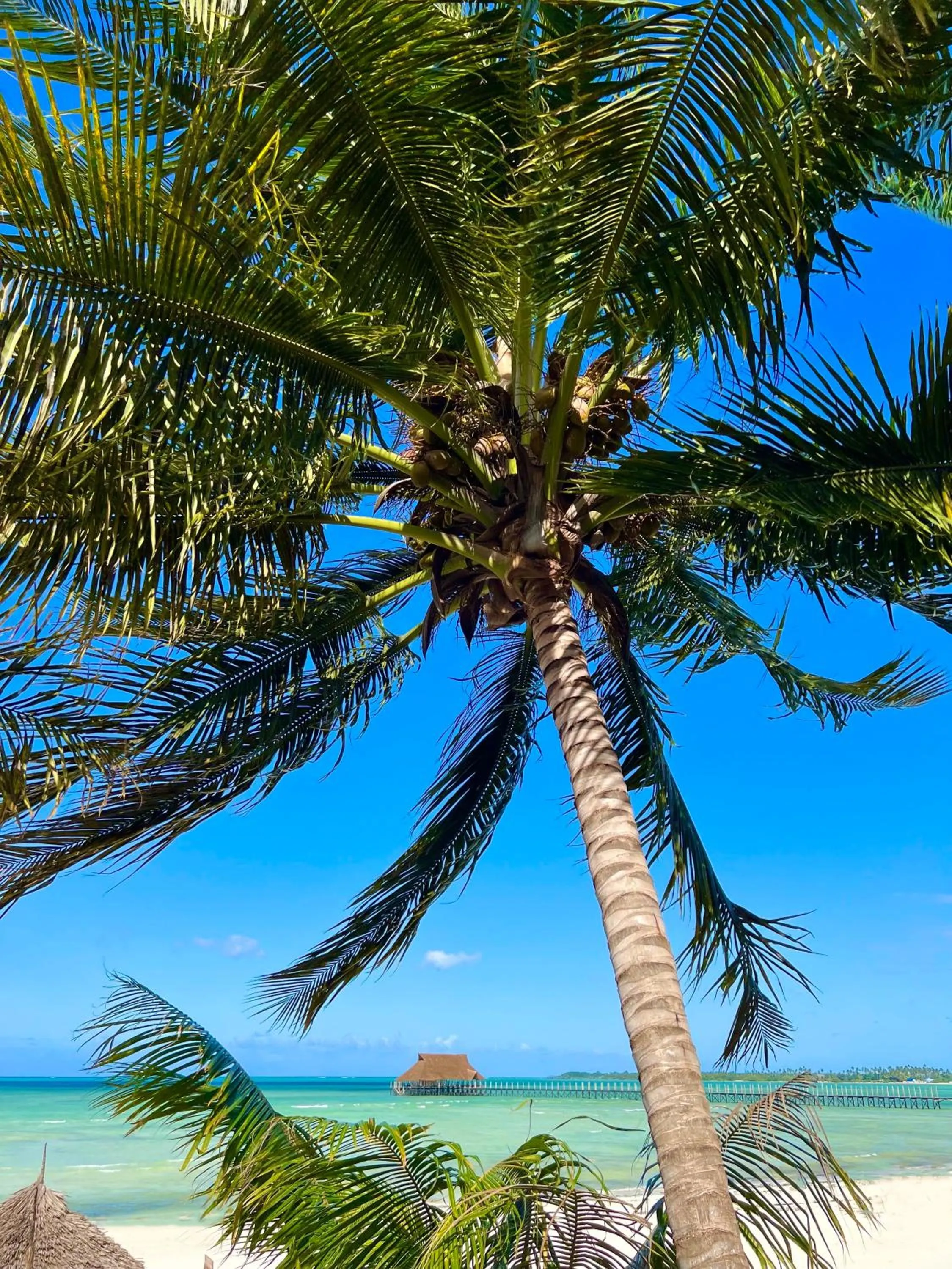 Nearby landmark in Karibu Beach Resort