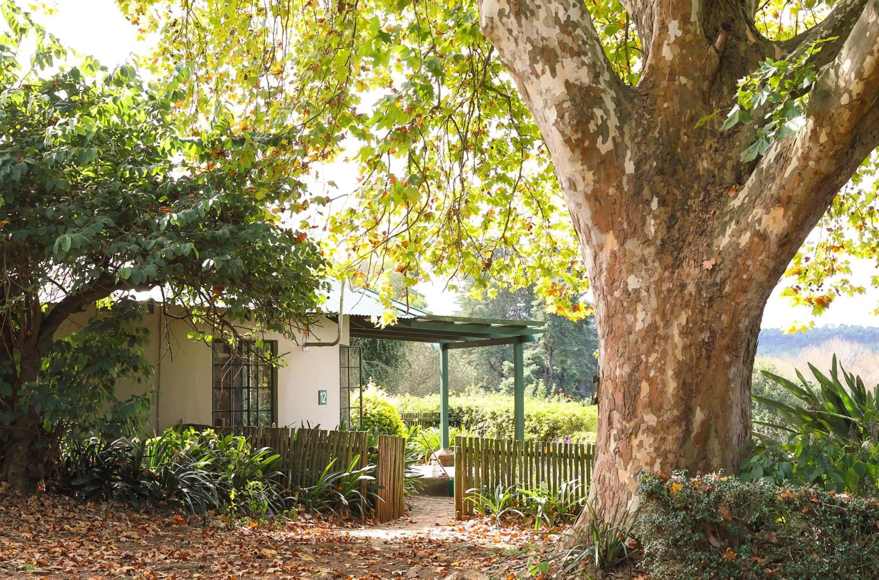 Kings Grant Country Retreat