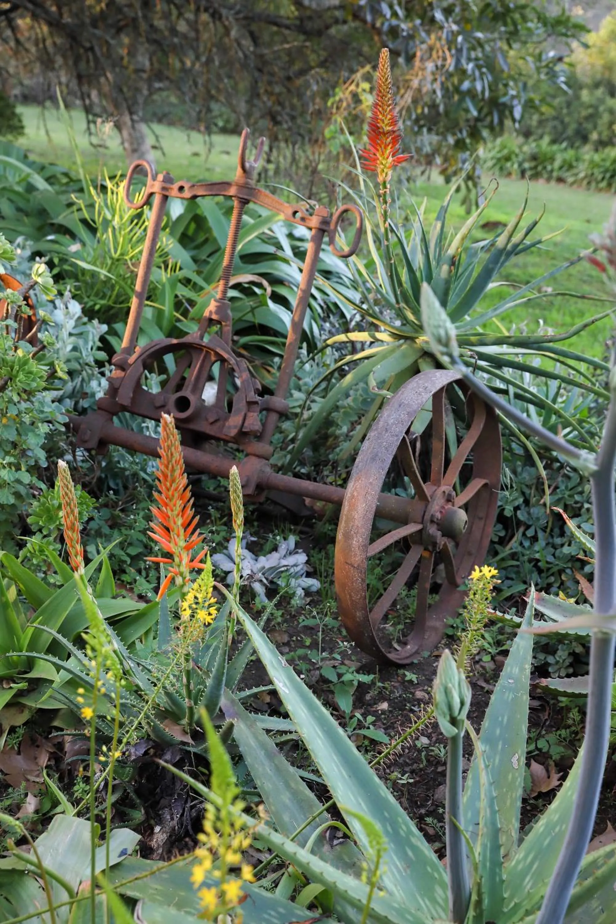 Garden in Kings Grant Country Retreat
