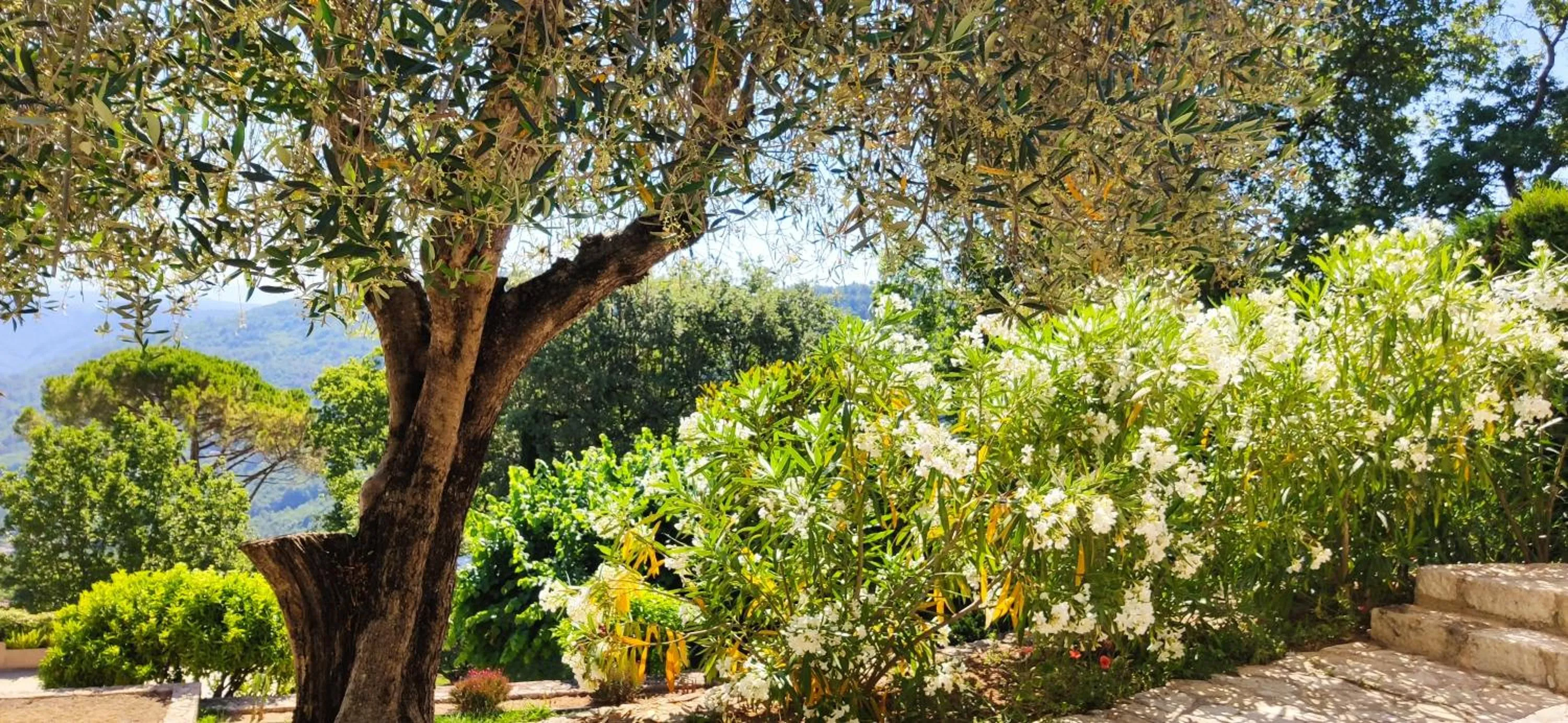 Spring in Loup Castel Boutique Hotel B&B