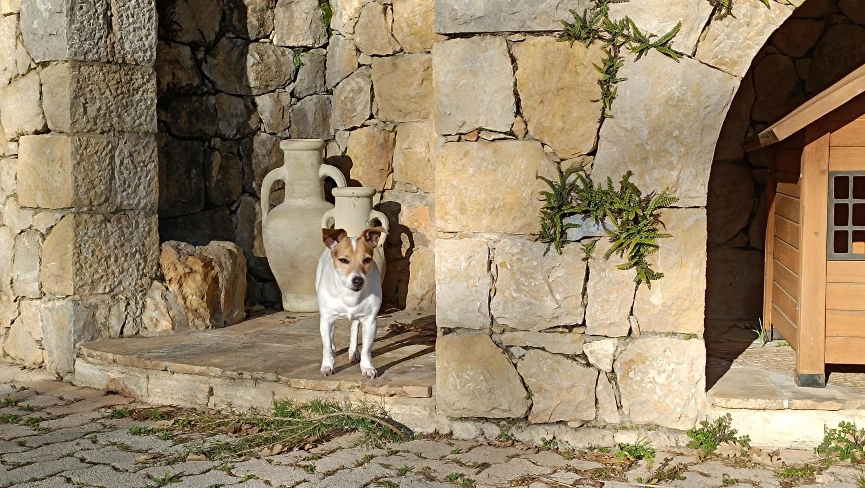 Garden in Loup Castel Boutique Hotel B&B