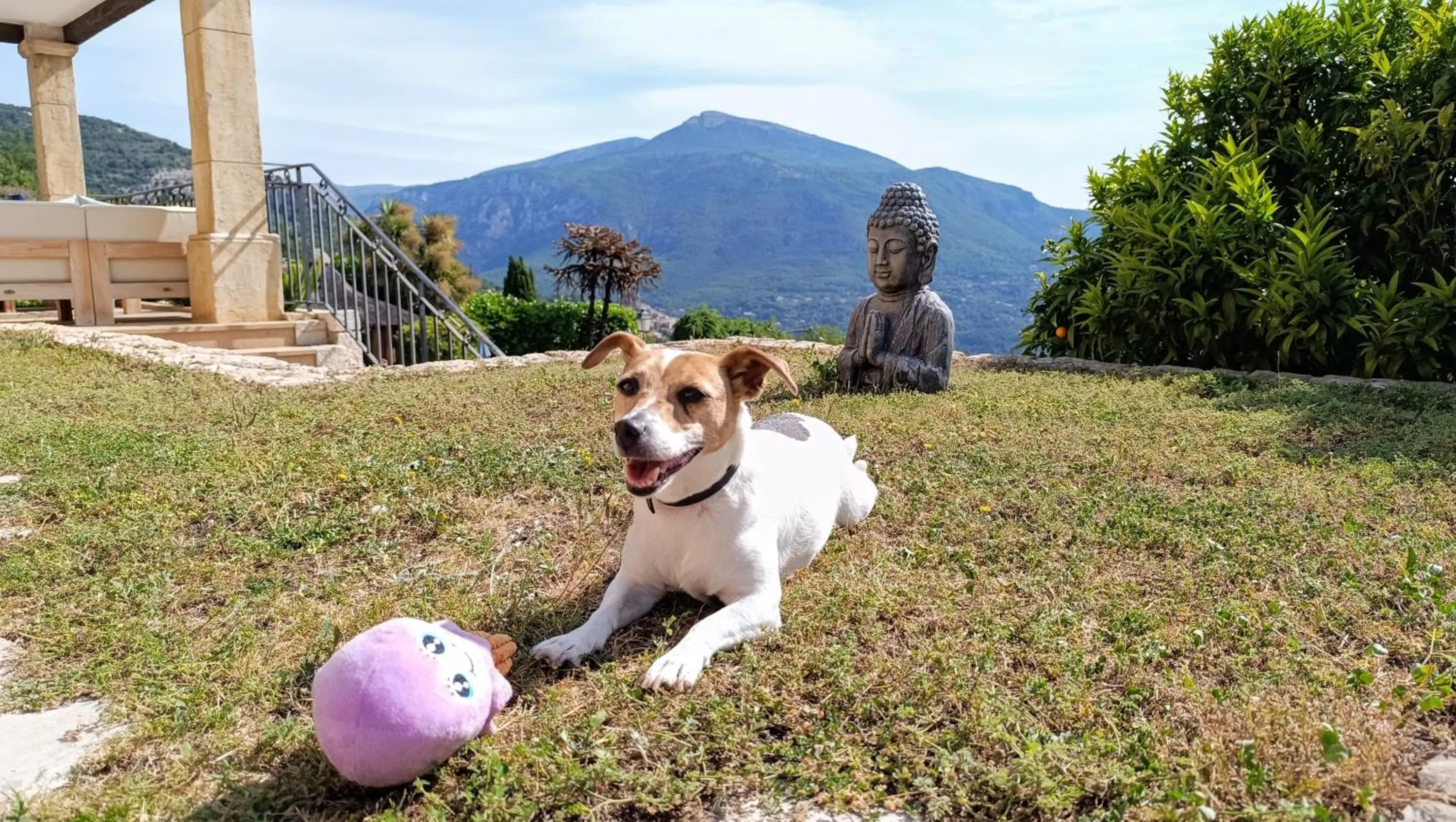 Garden in Loup Castel Boutique Hotel B&B