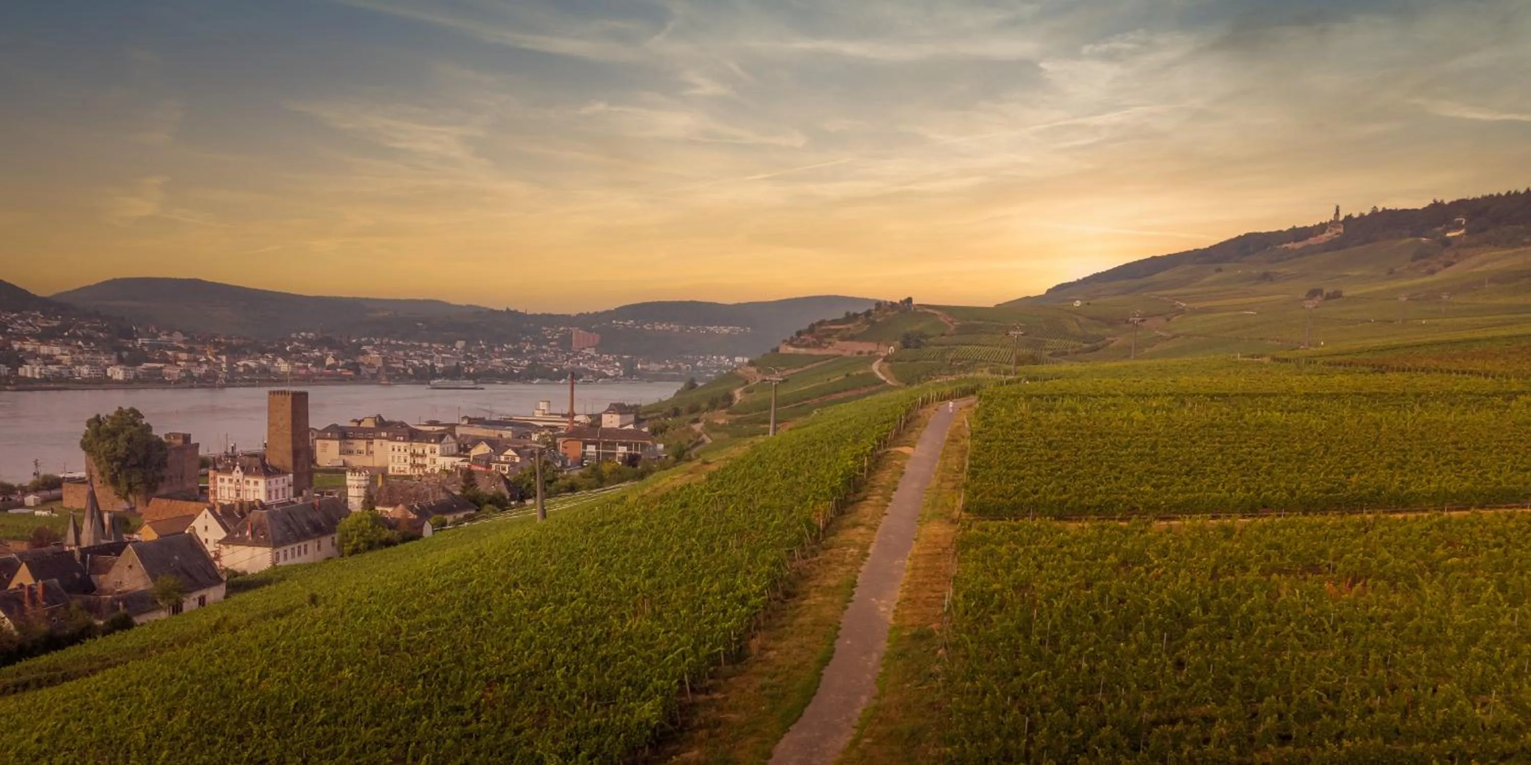 Nearby landmark in Weinhotel des Riesling Zum Grünen Kranz
