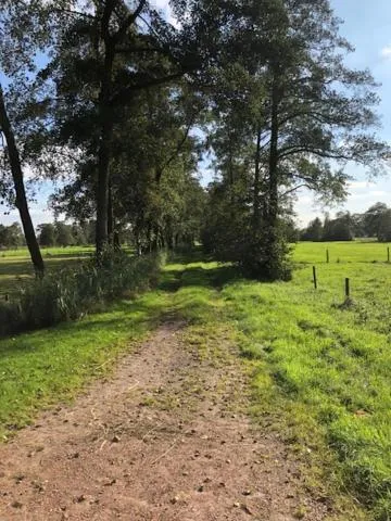 Bed en Breakfast The Wooden Wall