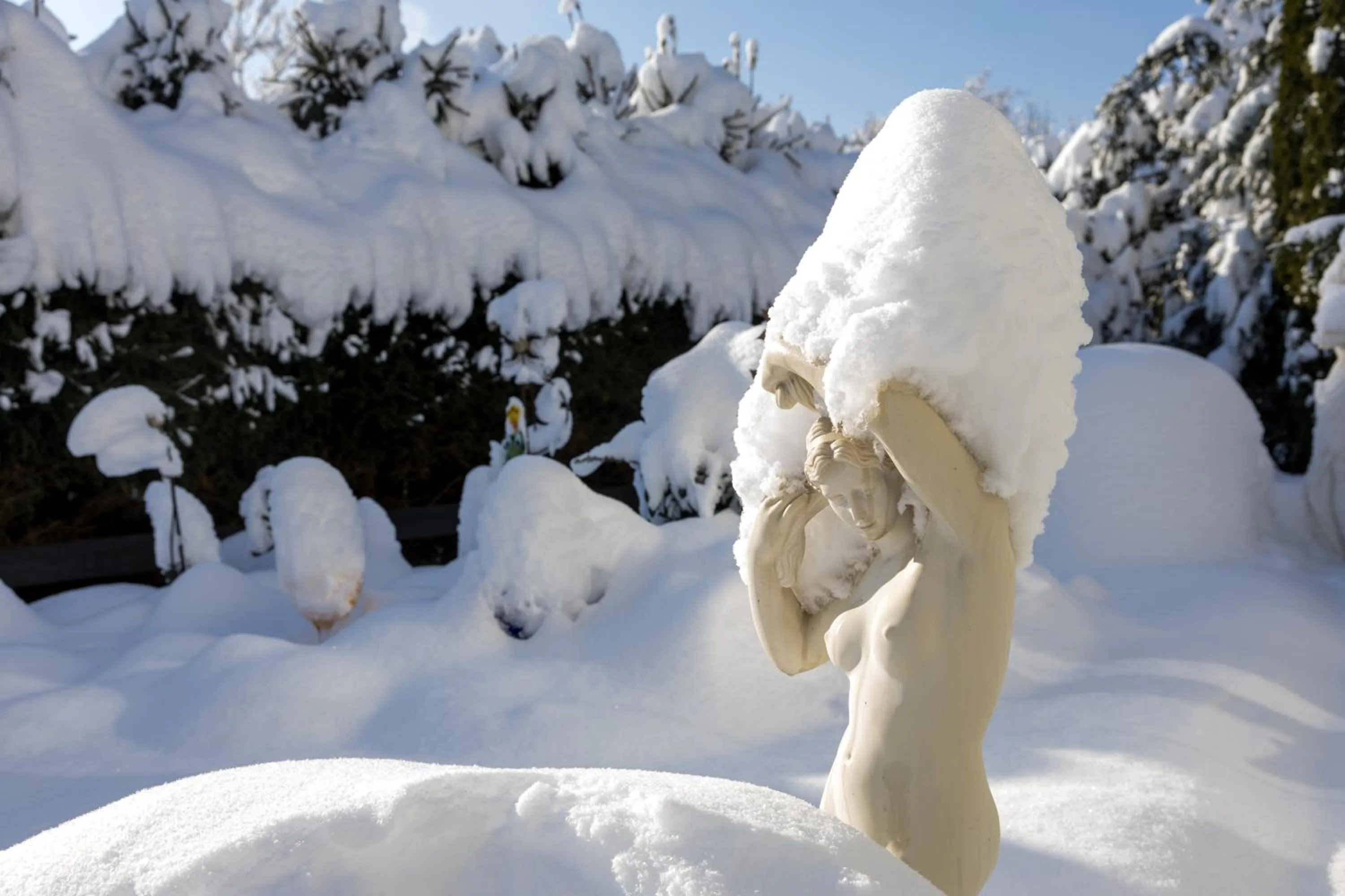 Garden in Hotel Sonnenhang