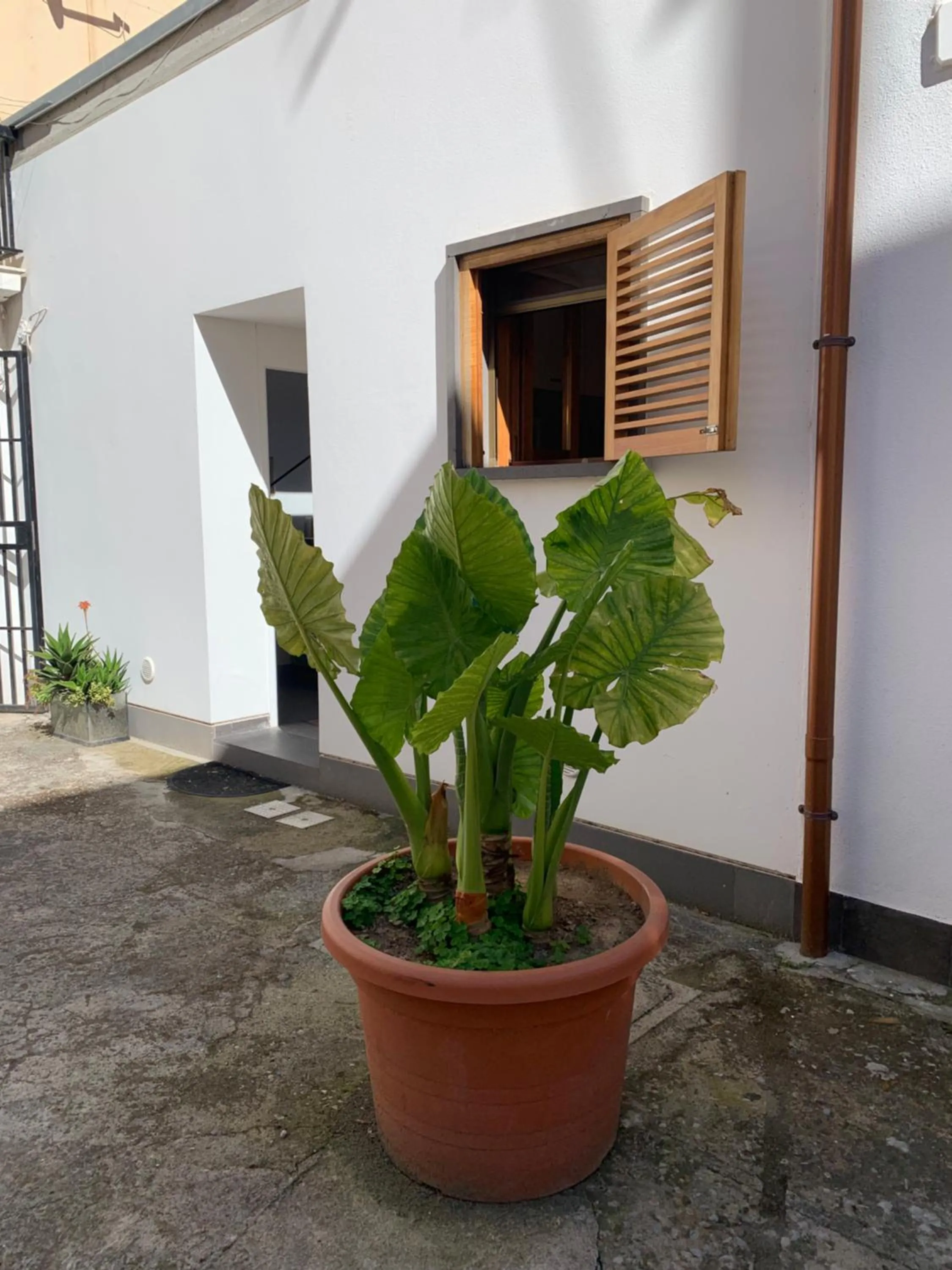 Patio in Arco 37