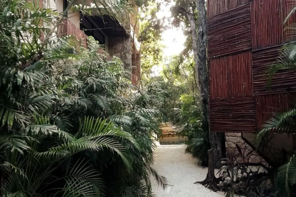 Agua & Selva luxury Jungle loft