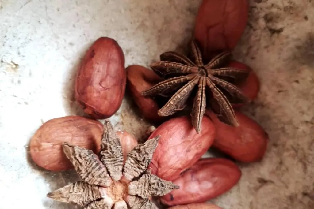 Agua & Selva luxury Jungle loft