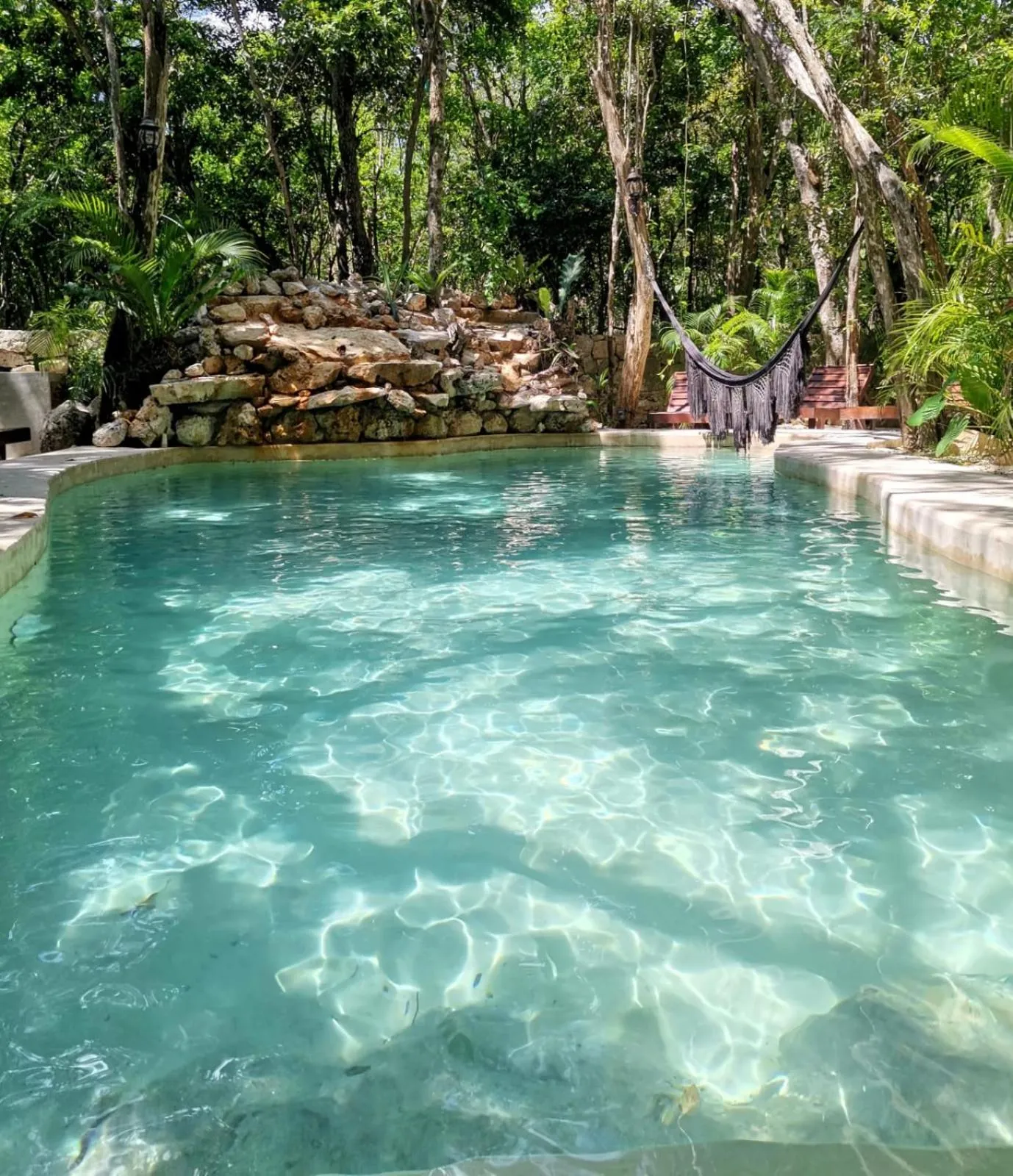 Swimming pool in Agua & Selva luxury Jungle loft