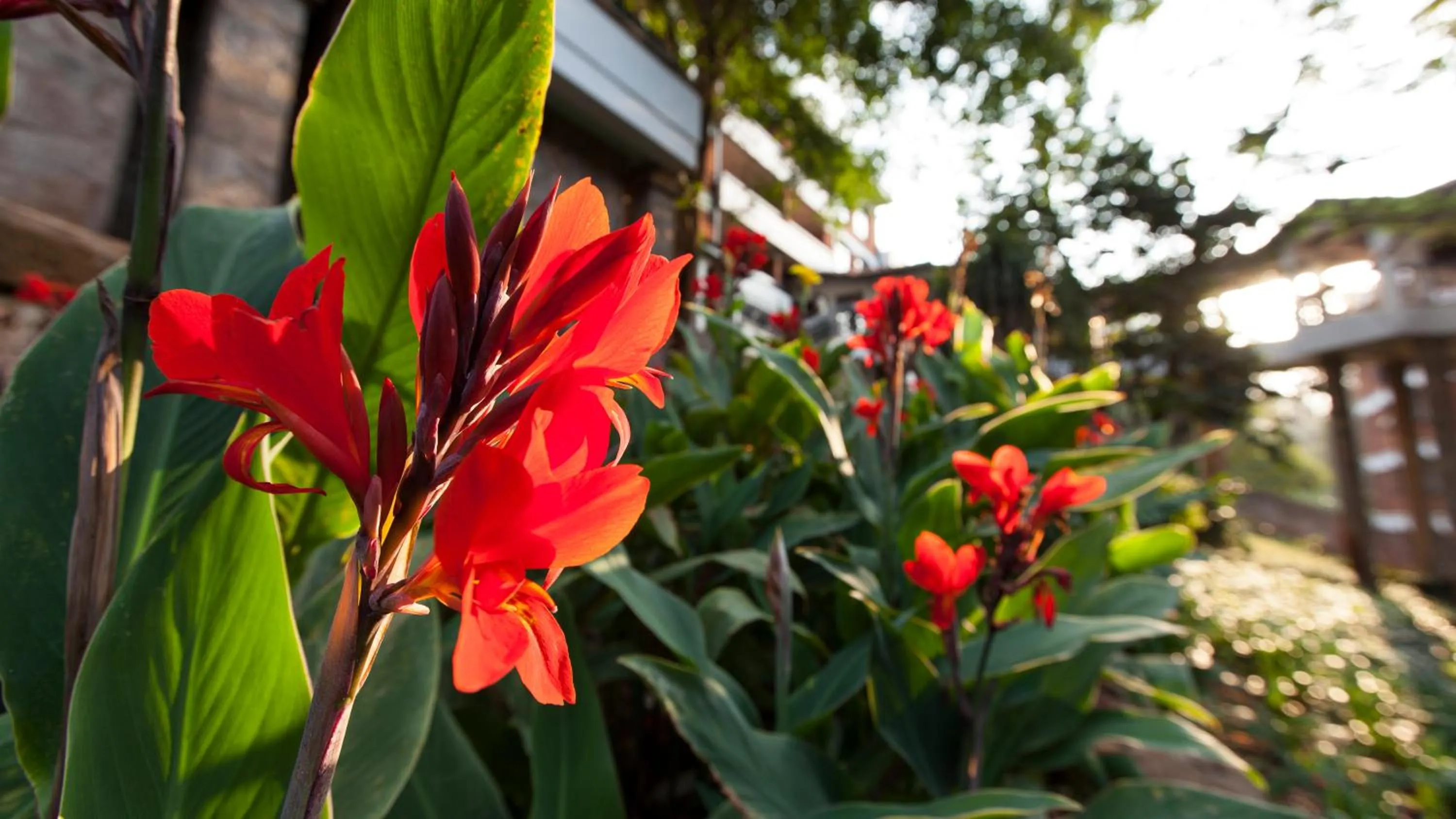 Garden in Heri Heights Hotel Apartments, SureStay Collection by Best Western