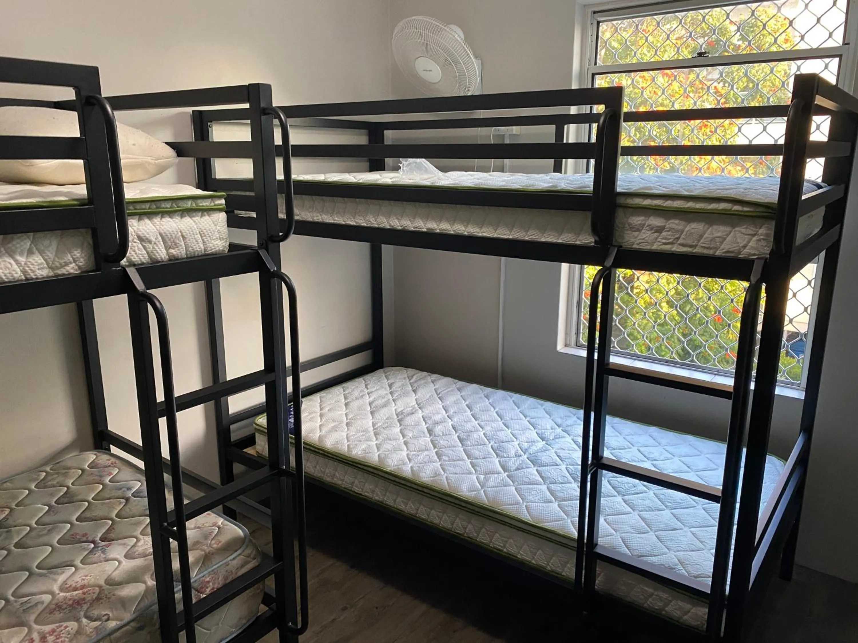 Property building, Bed in Homely Inn Hostel