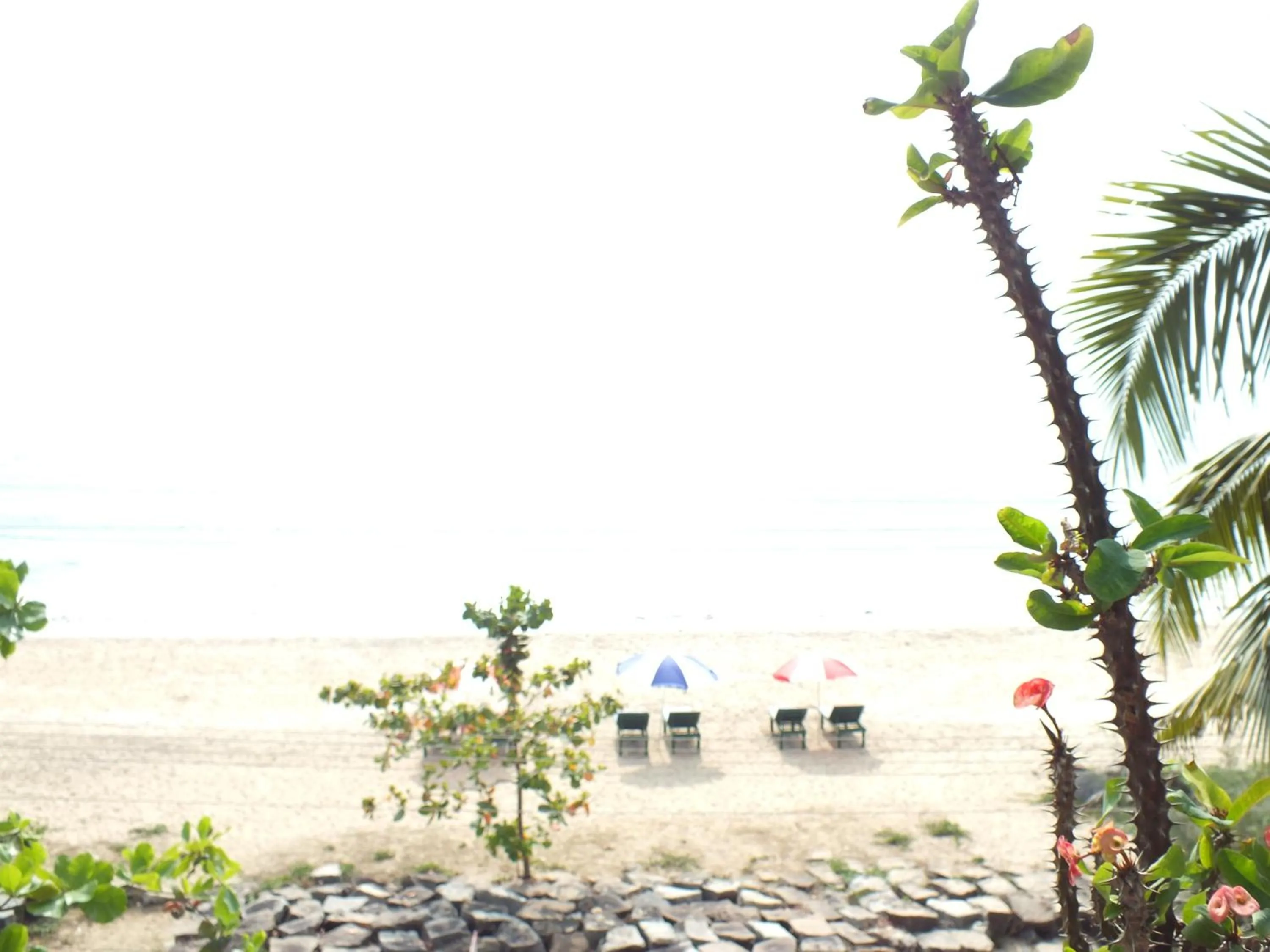 Sea view in Cherai Beach Residency