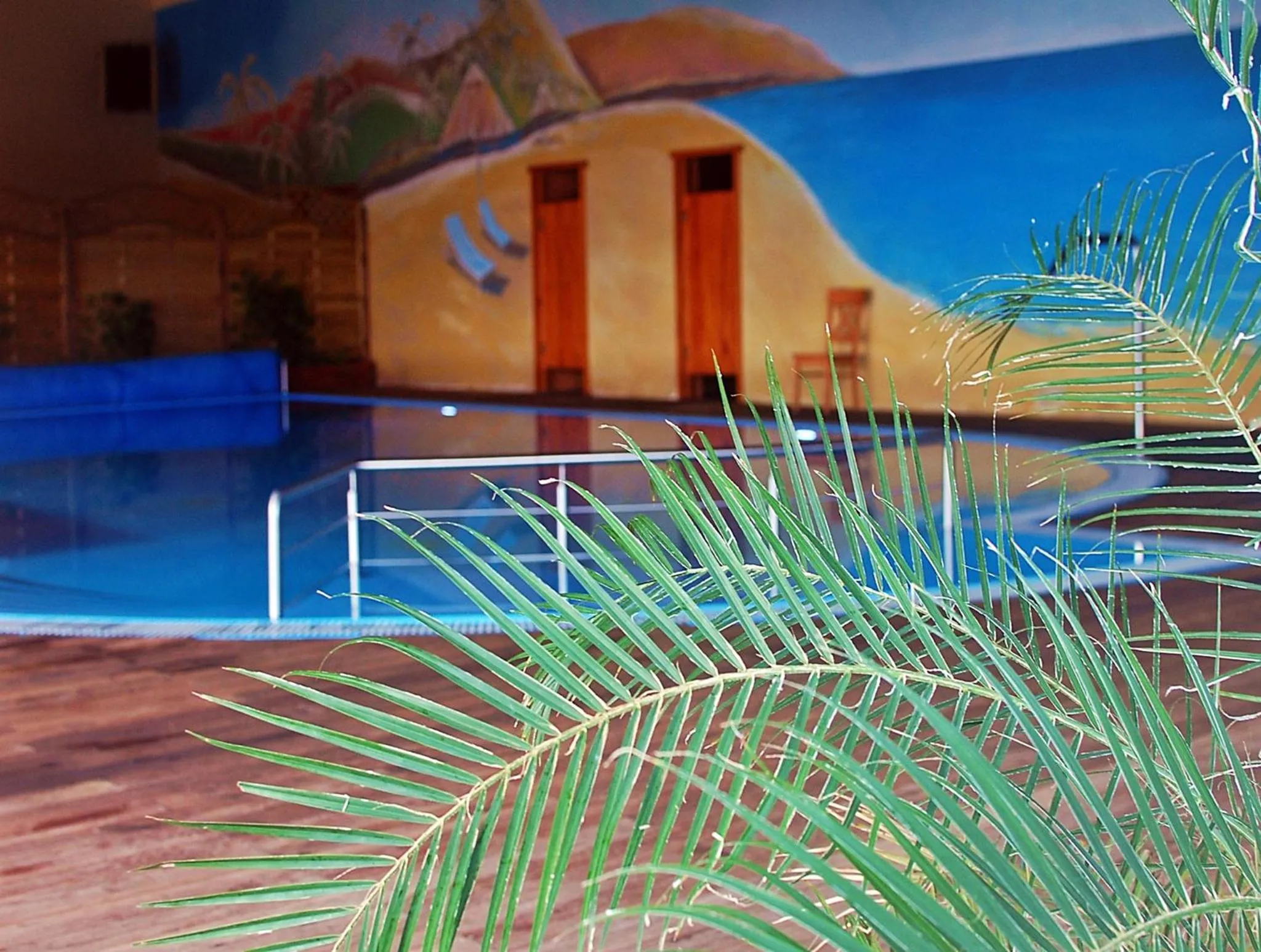 Swimming pool in Maciejowa Chata