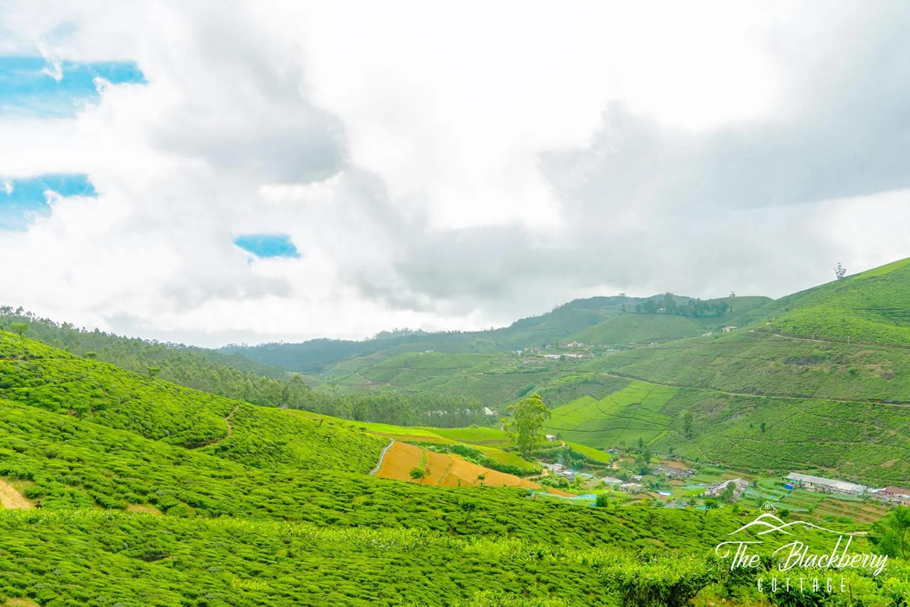 View (from property/room) in The Blackberry Cottage