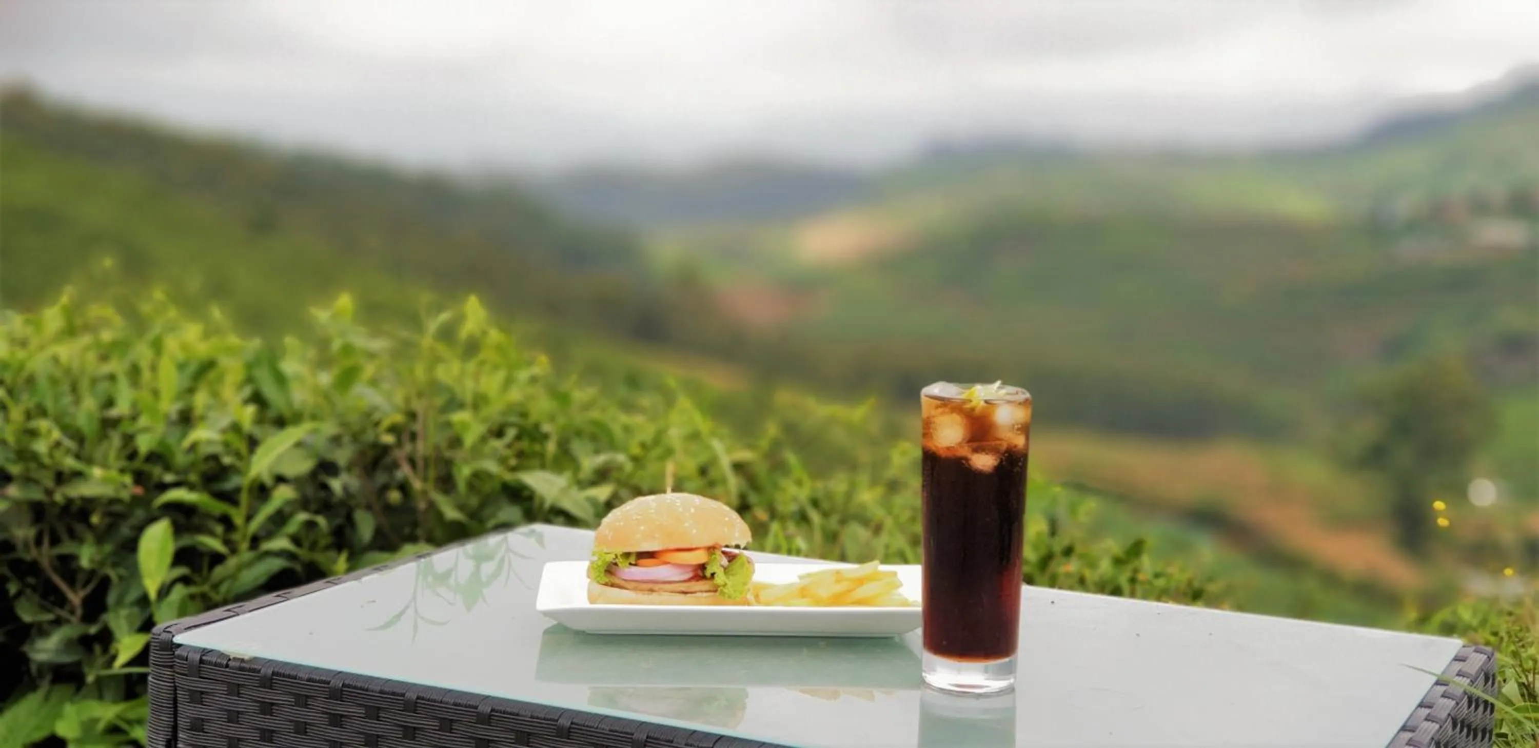 Day in The Blackberry Cottage