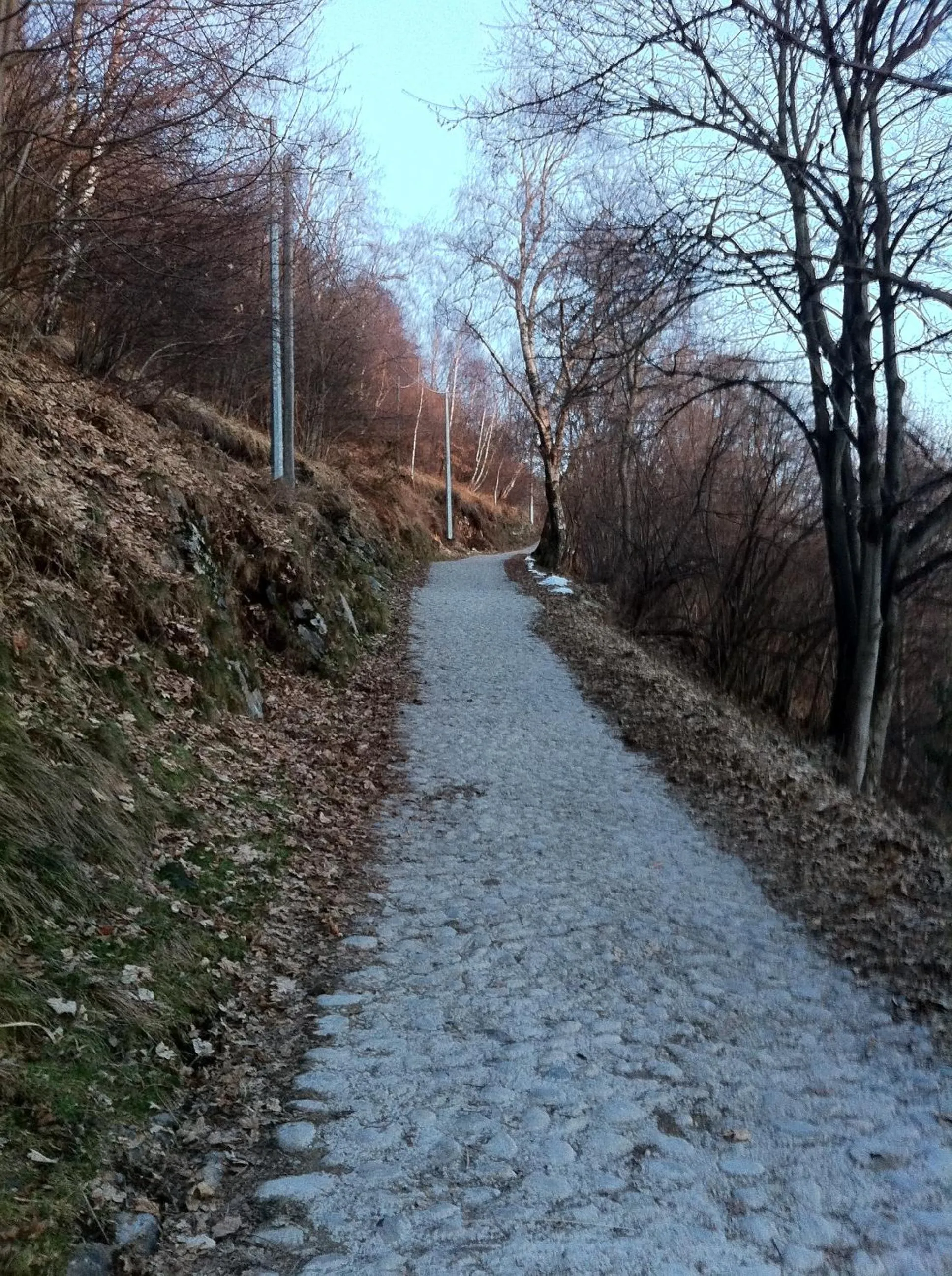 Other in Baita Bondella