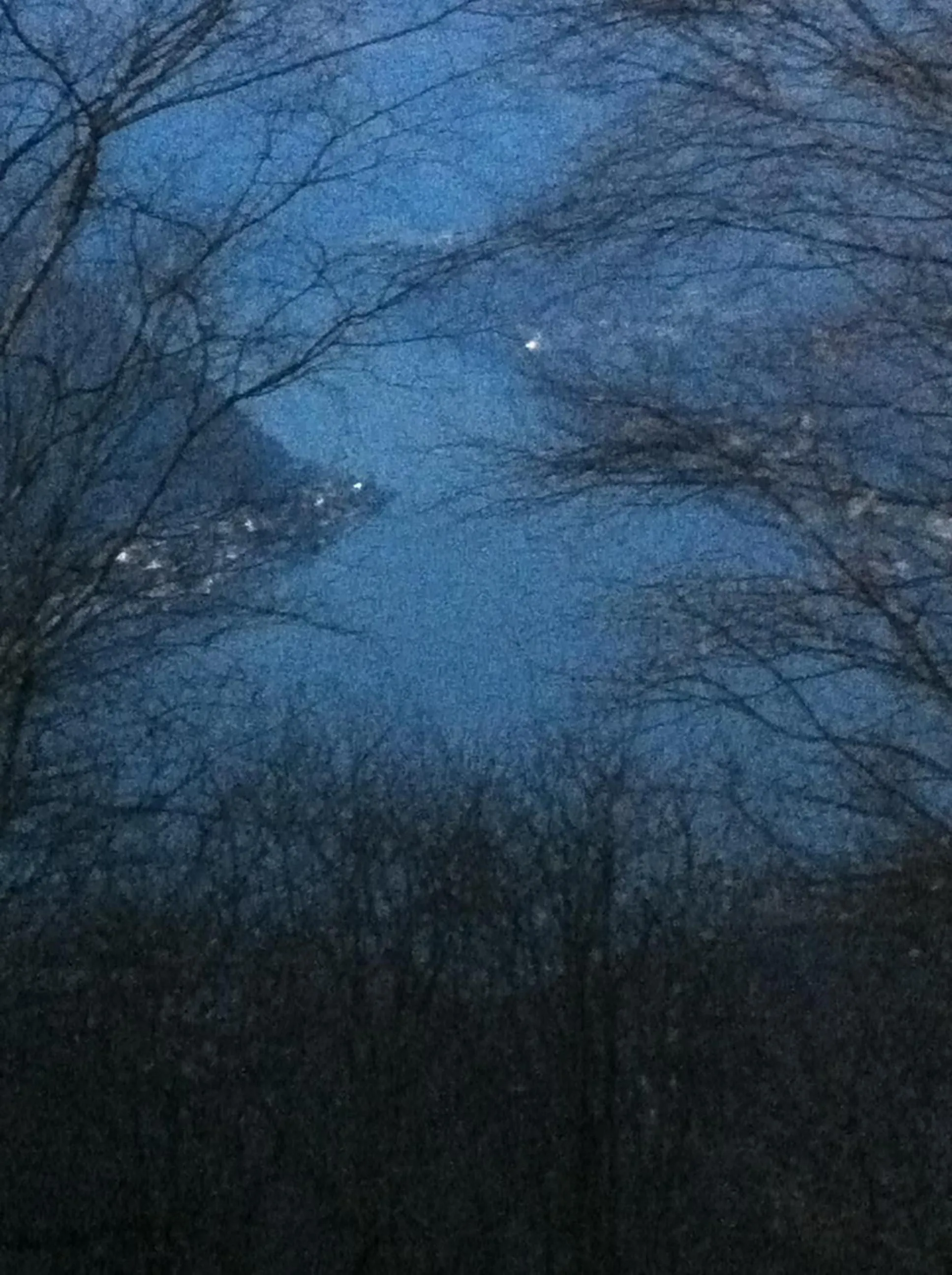 Other in Baita Bondella