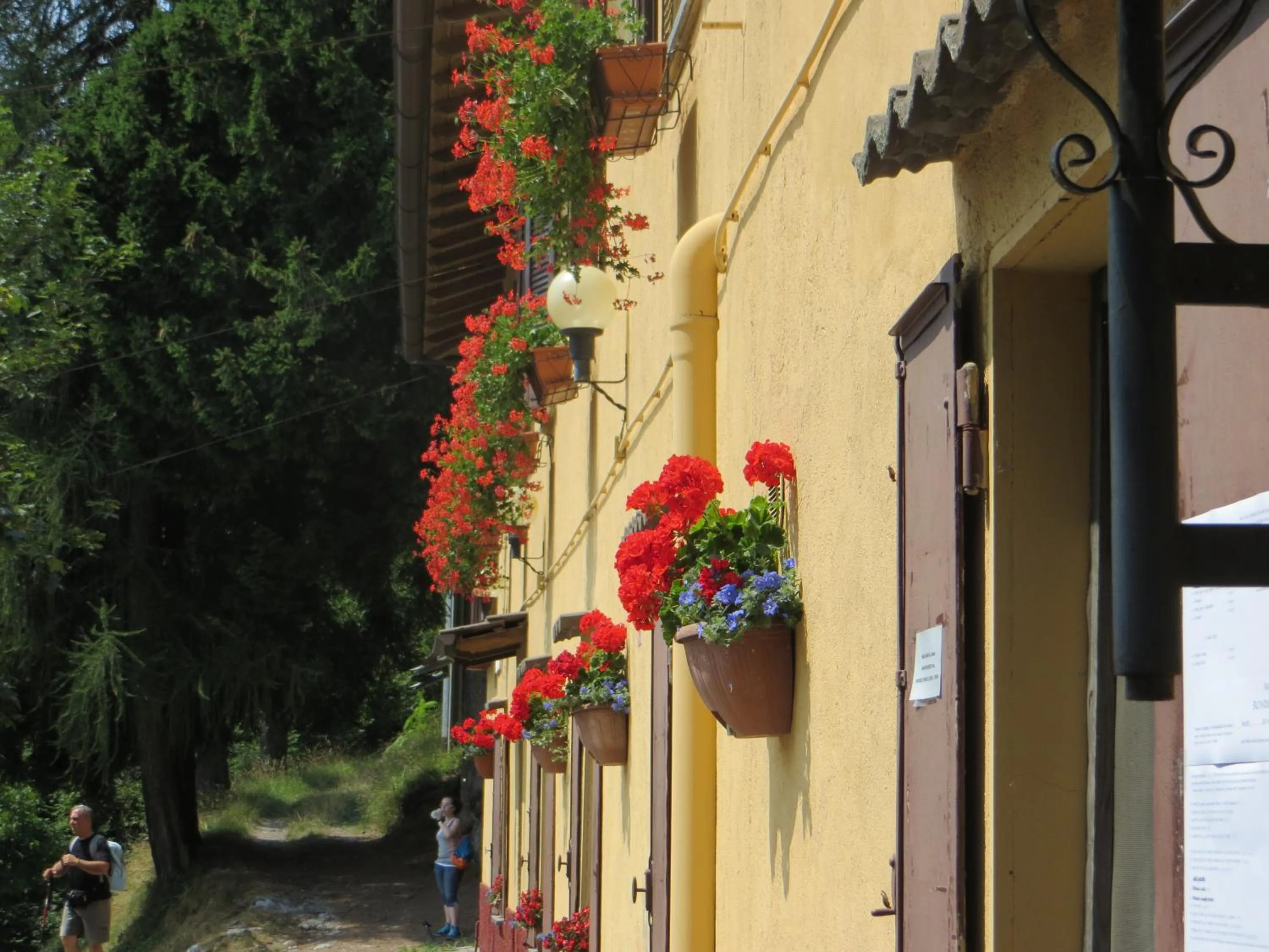 Spring in Baita Bondella