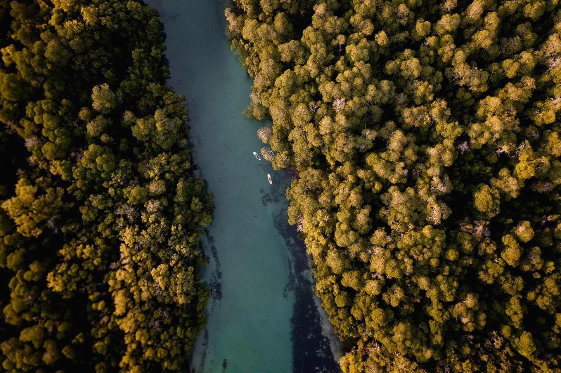 Activities in Hemingways Watamu