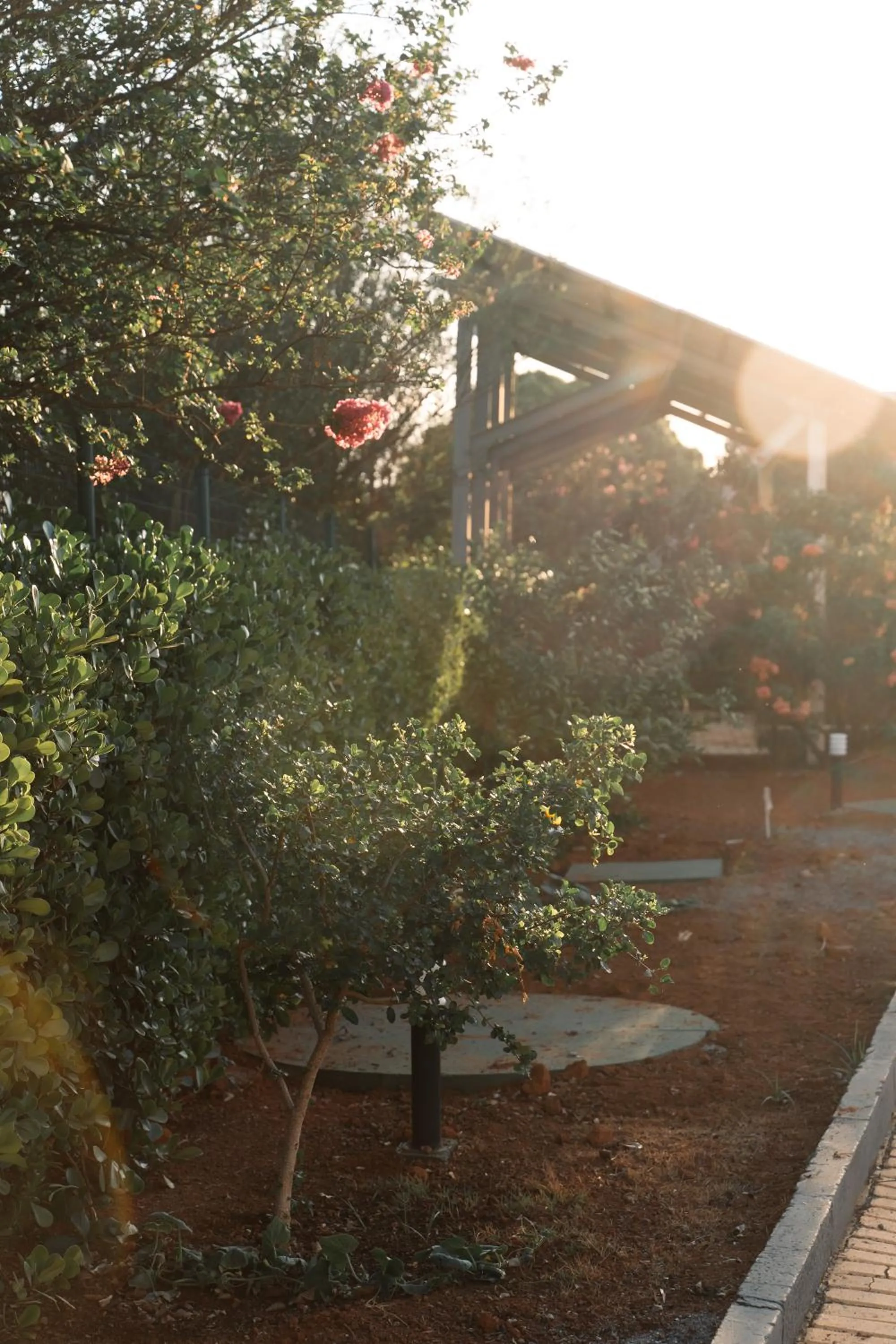 Garden in Strassen Hotel