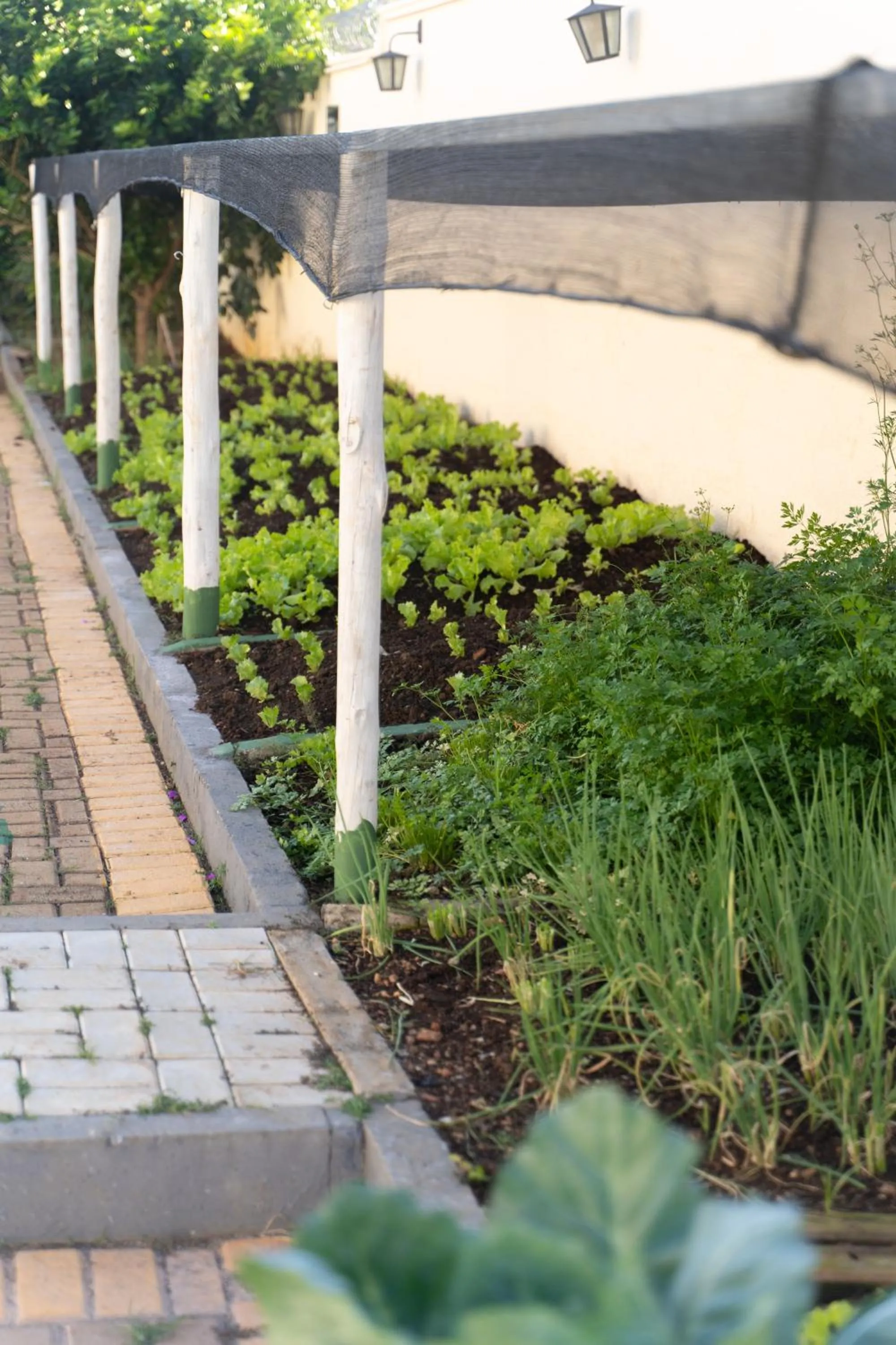 Garden in Strassen Hotel