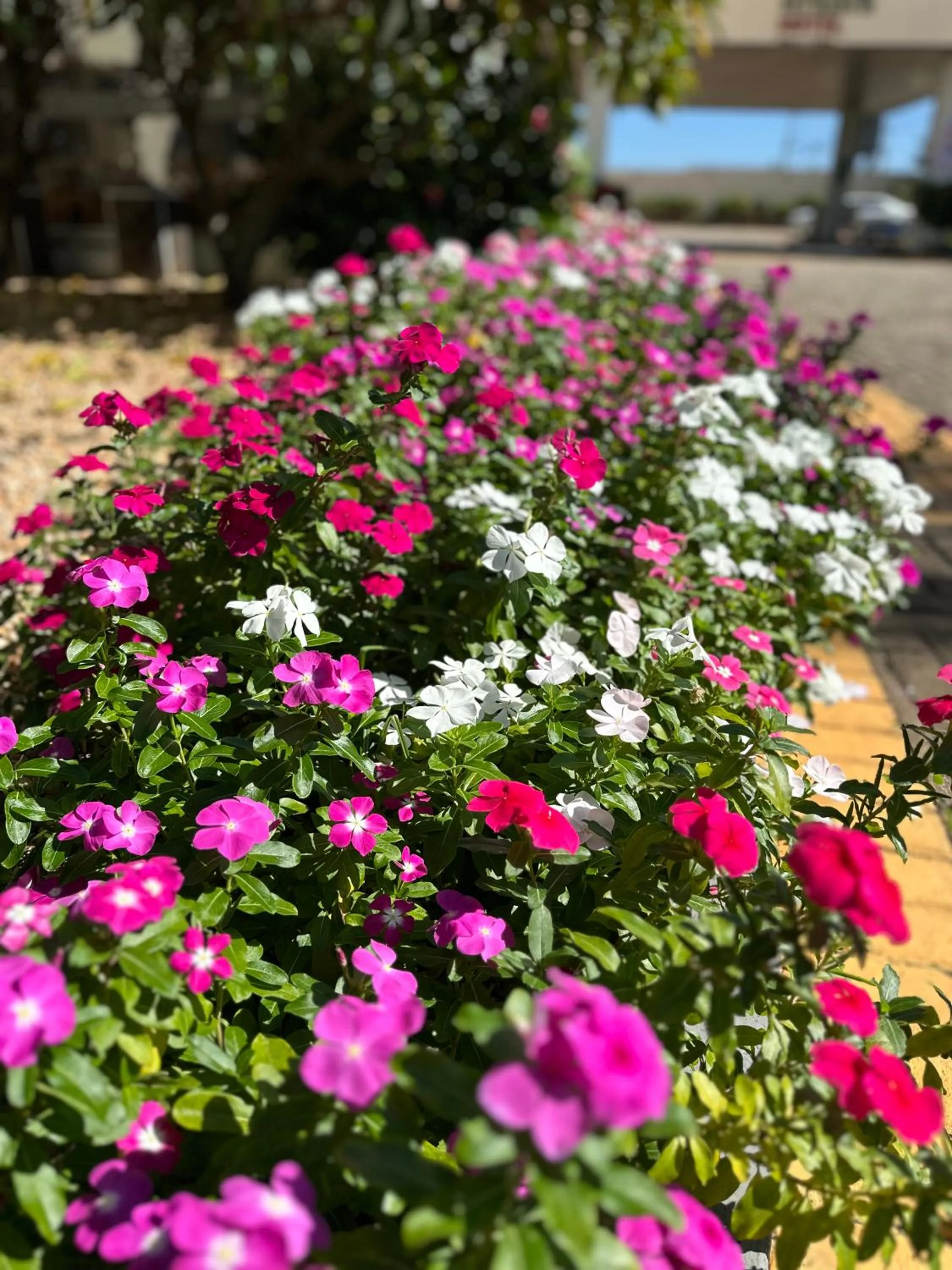 Day in Strassen Hotel