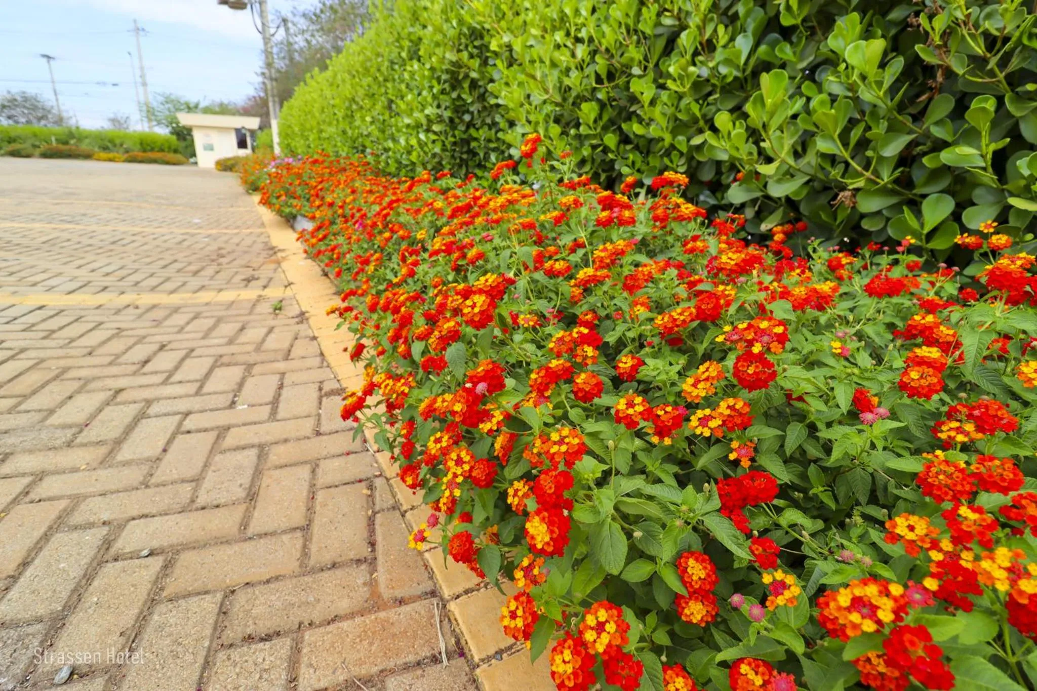 Garden in Strassen Hotel
