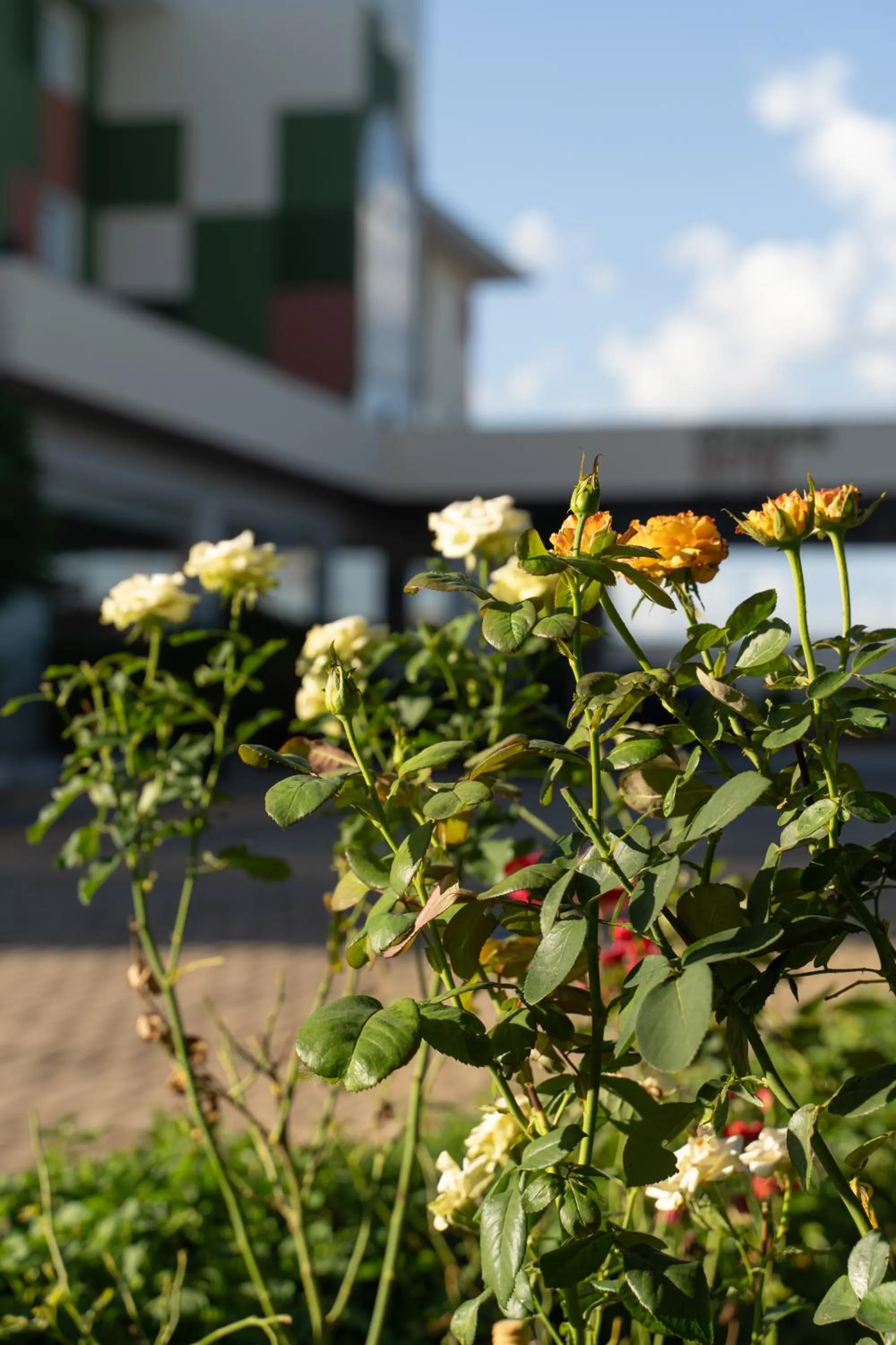 Garden in Strassen Hotel