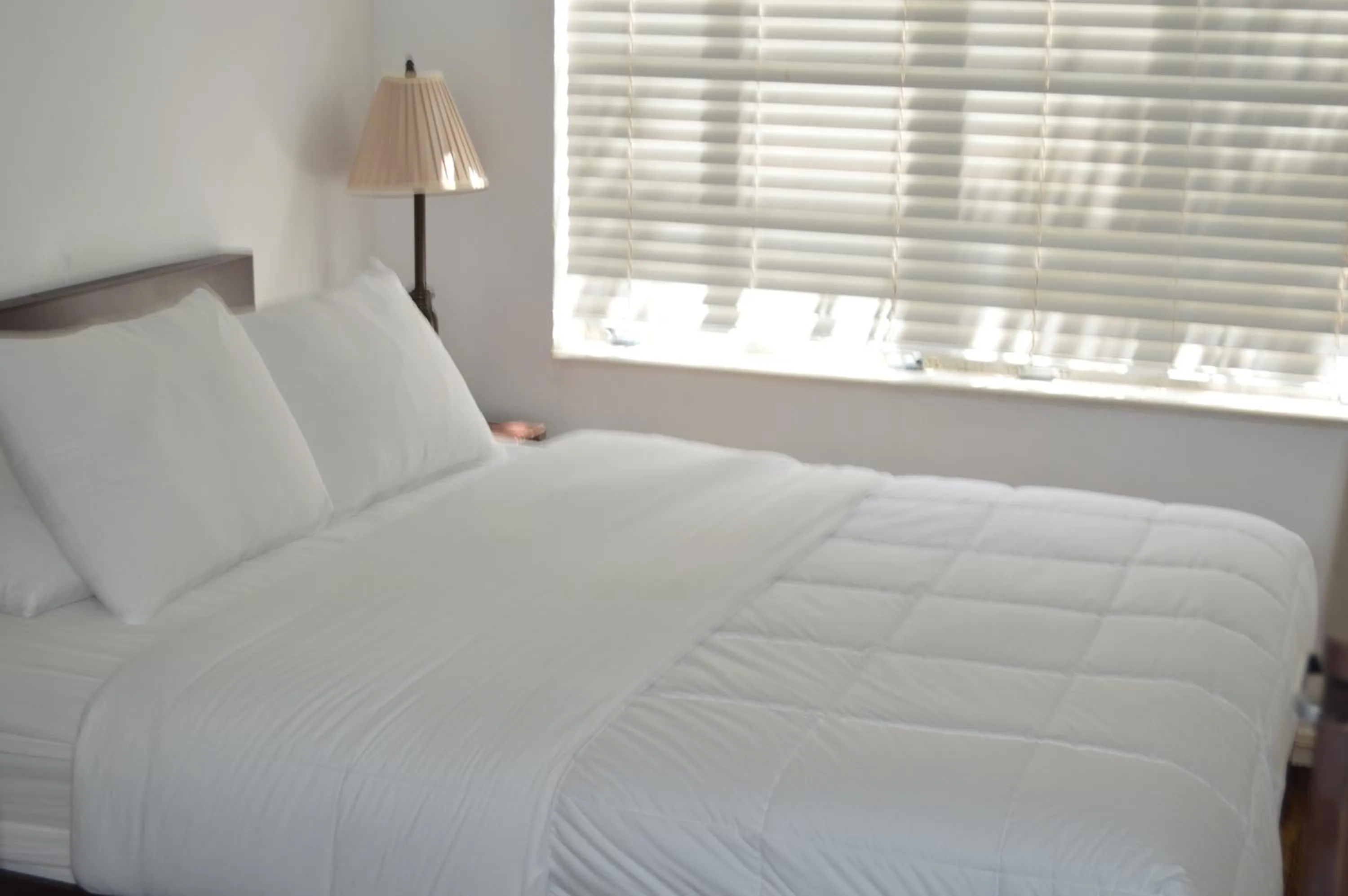 Bed in Island House South Beach