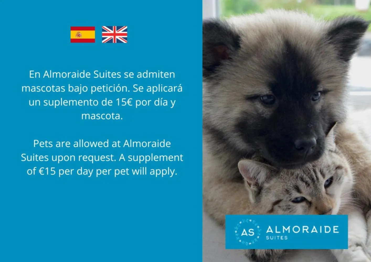 Animals in AT Almoraide Rooms Suites