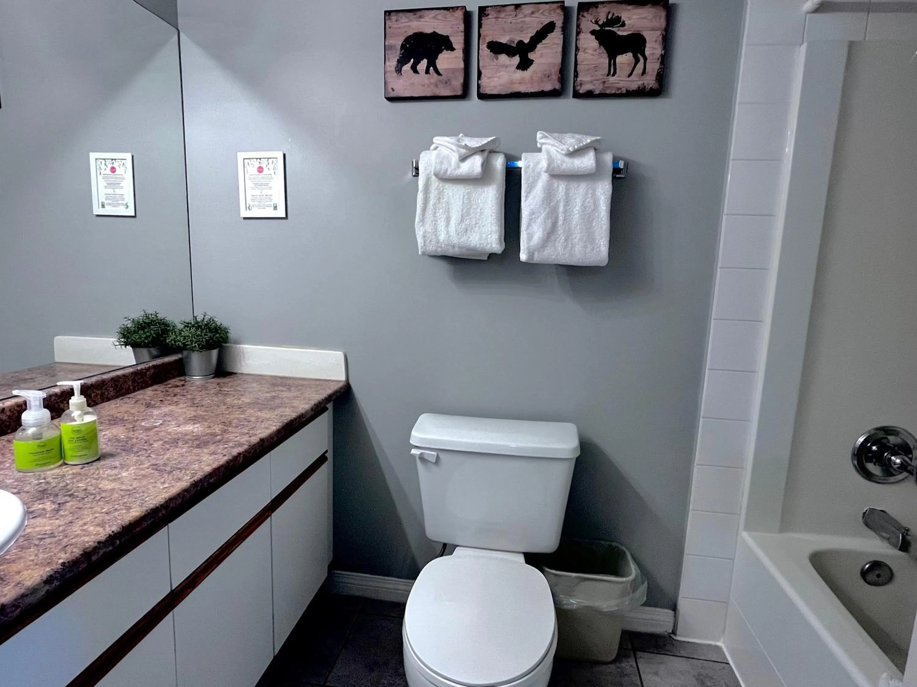 Toilet in Canadian Rockies Chalets by Trilink - 2 & 3 Bedroom Condos - Self Check-In - Walking Distance to Downtown - Free Parking - Pet-Friendly - No AC