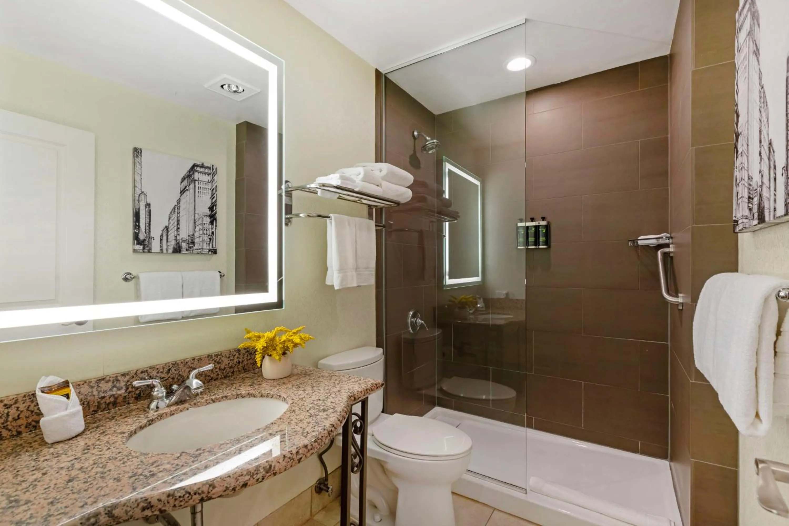 Bathroom in Best Western Plus Hawthorne Terrace Hotel