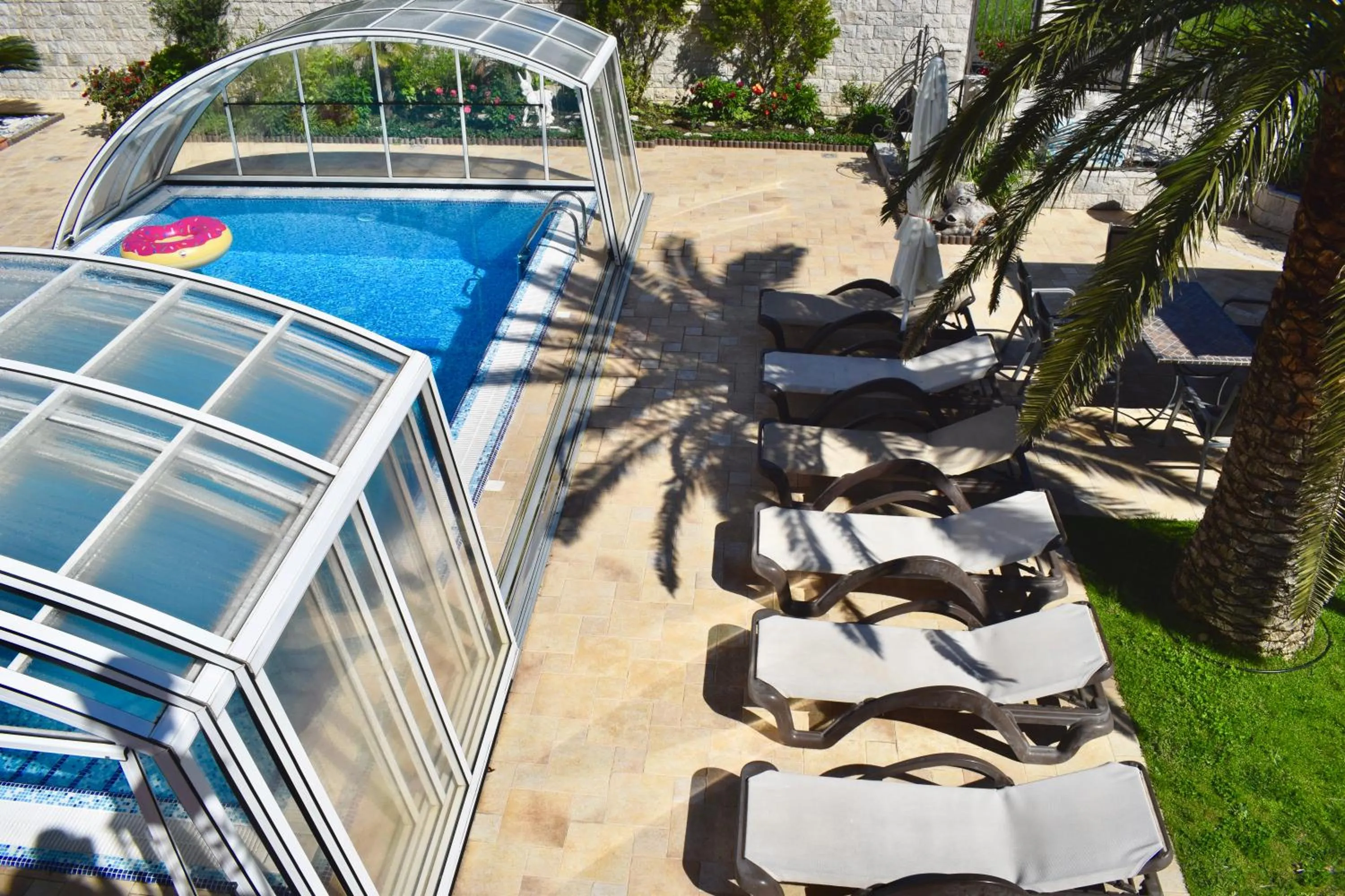 Pool view in Villa Dolphin Apartments