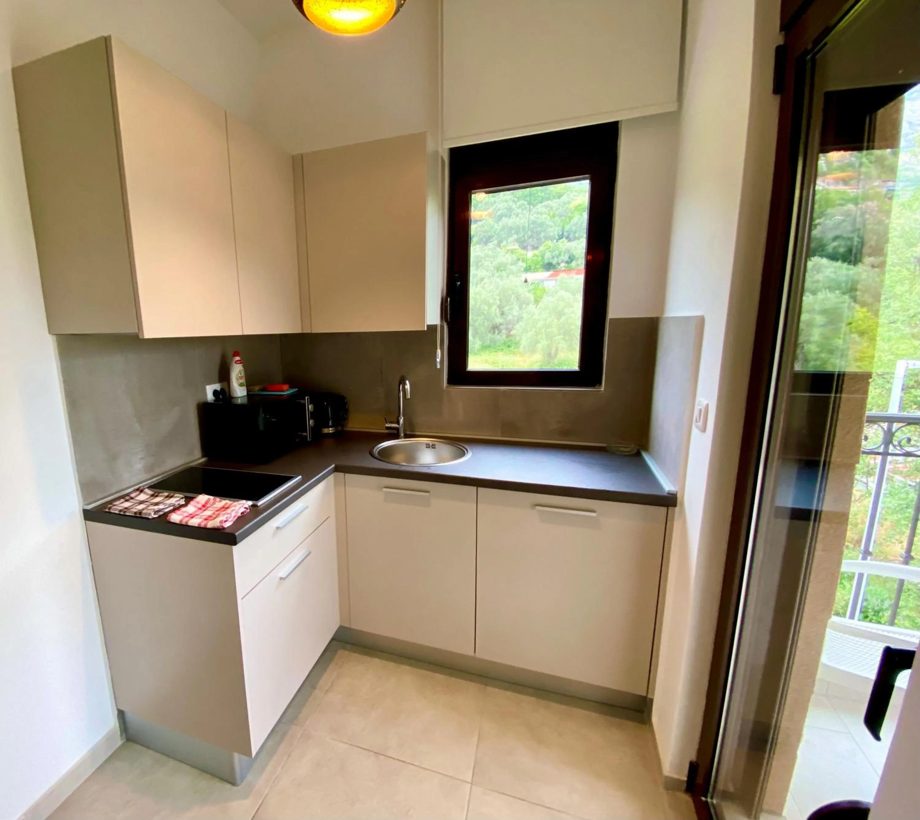 Kitchen or kitchenette in Villa Dolphin Apartments