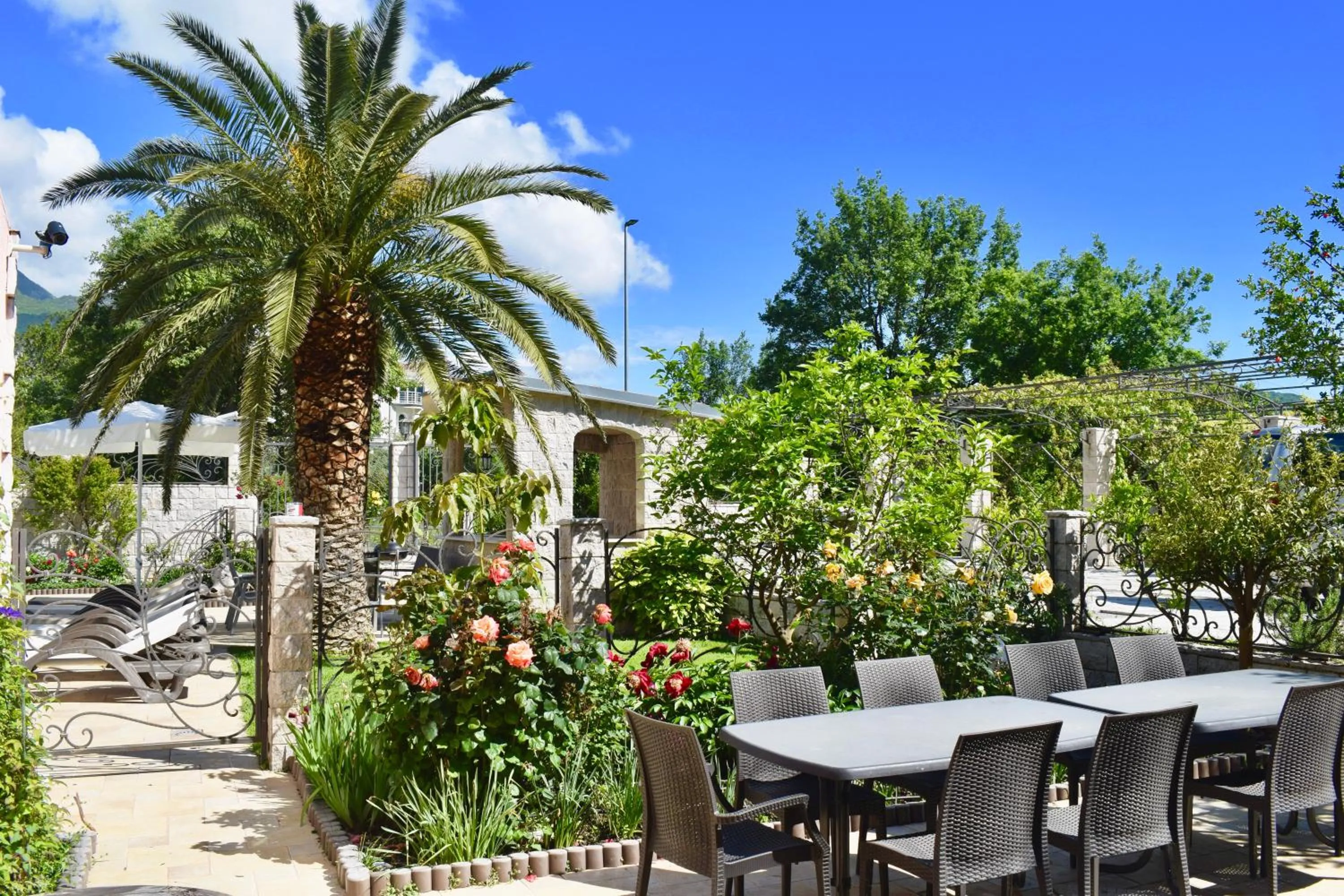 Patio in Villa Dolphin Apartments