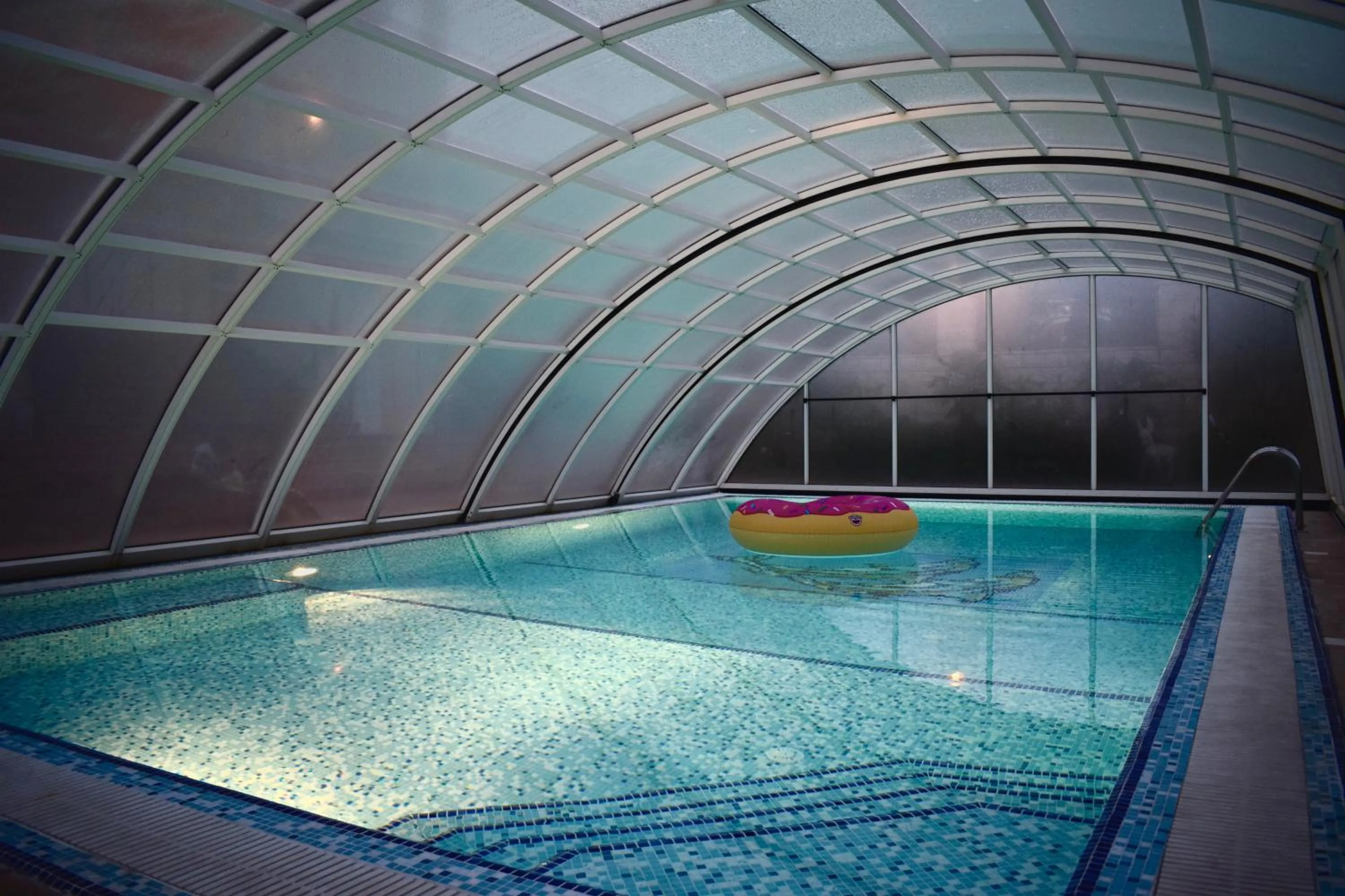 Swimming pool in Villa Dolphin Apartments