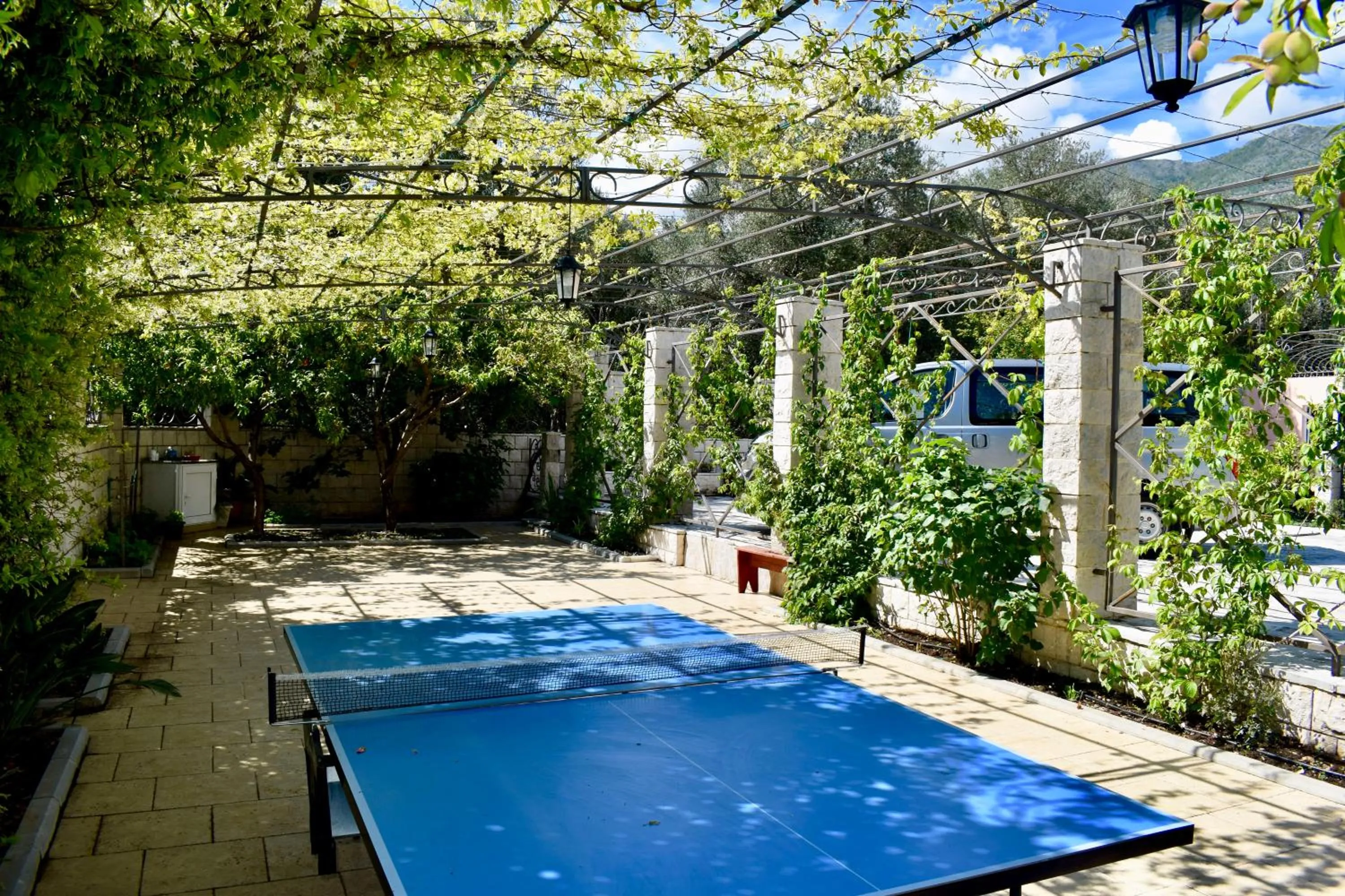 Activities in Villa Dolphin Apartments