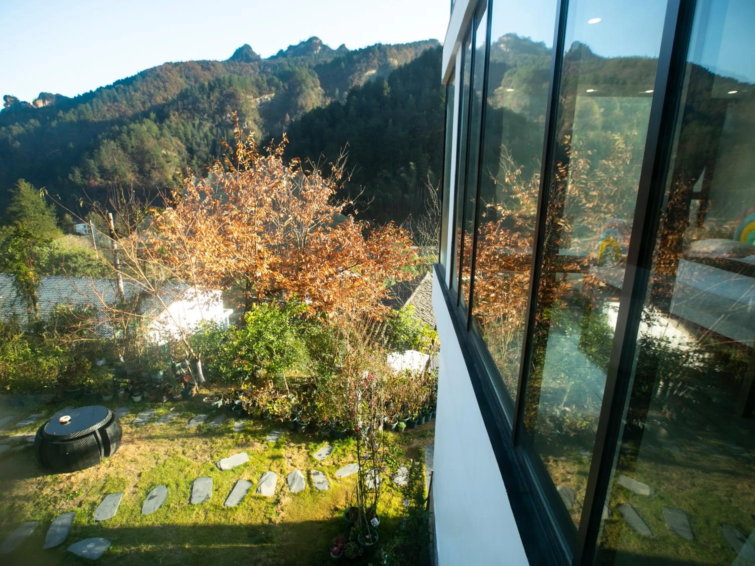 Zhangjiajie National Forest Park Forest Park Dream